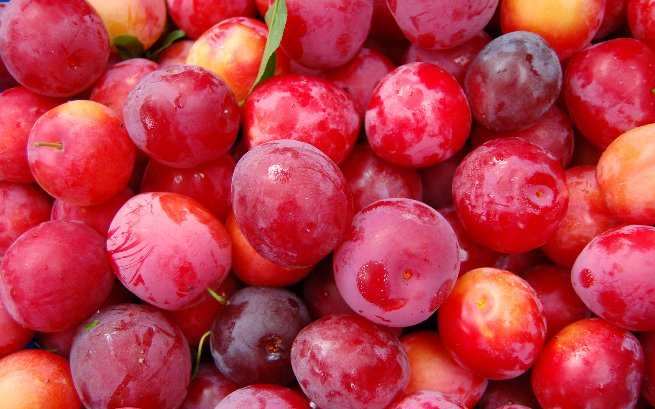 fruits, berries, food, background, plum, red 8K