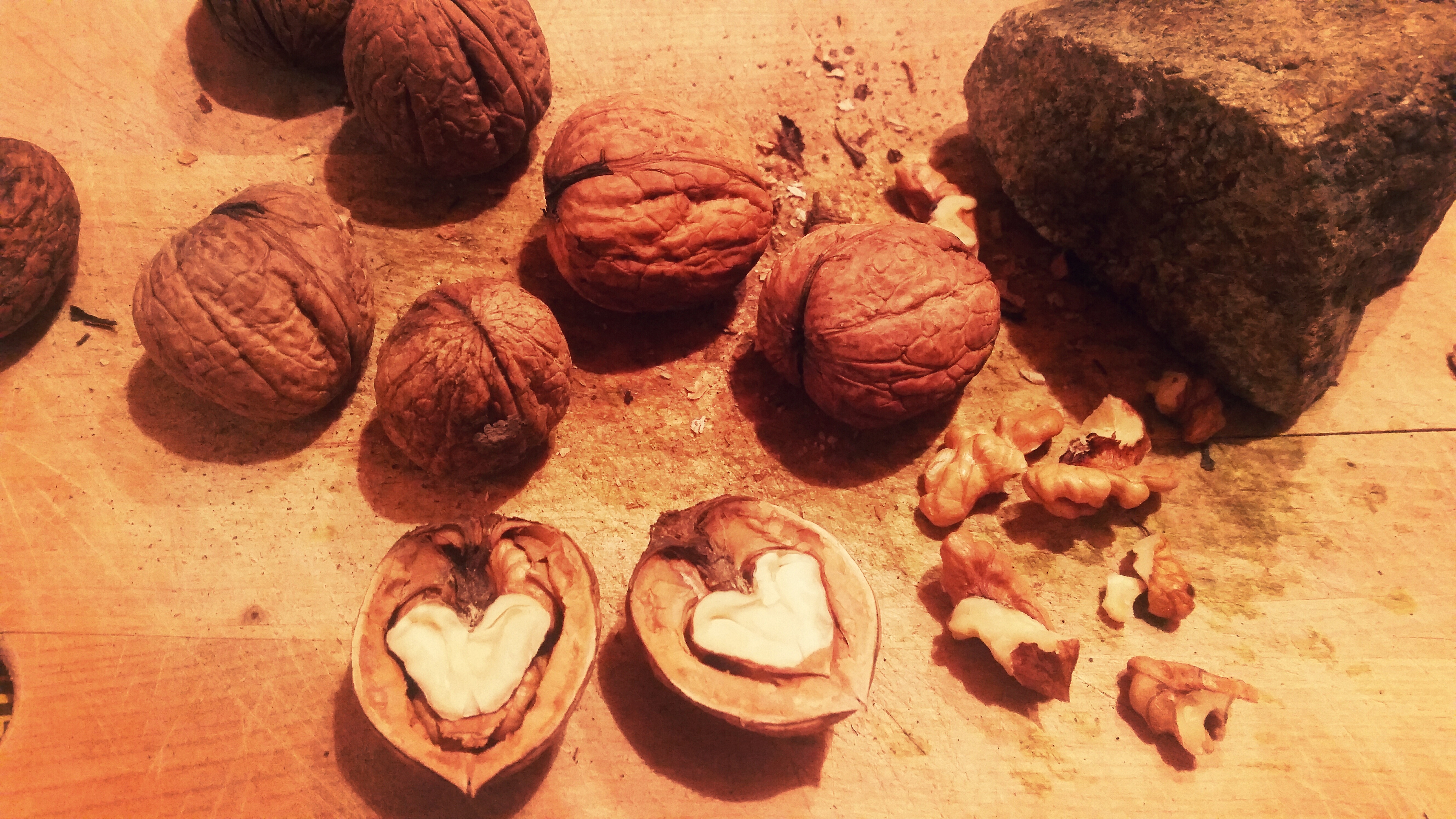 food, heart, shell, walnuts