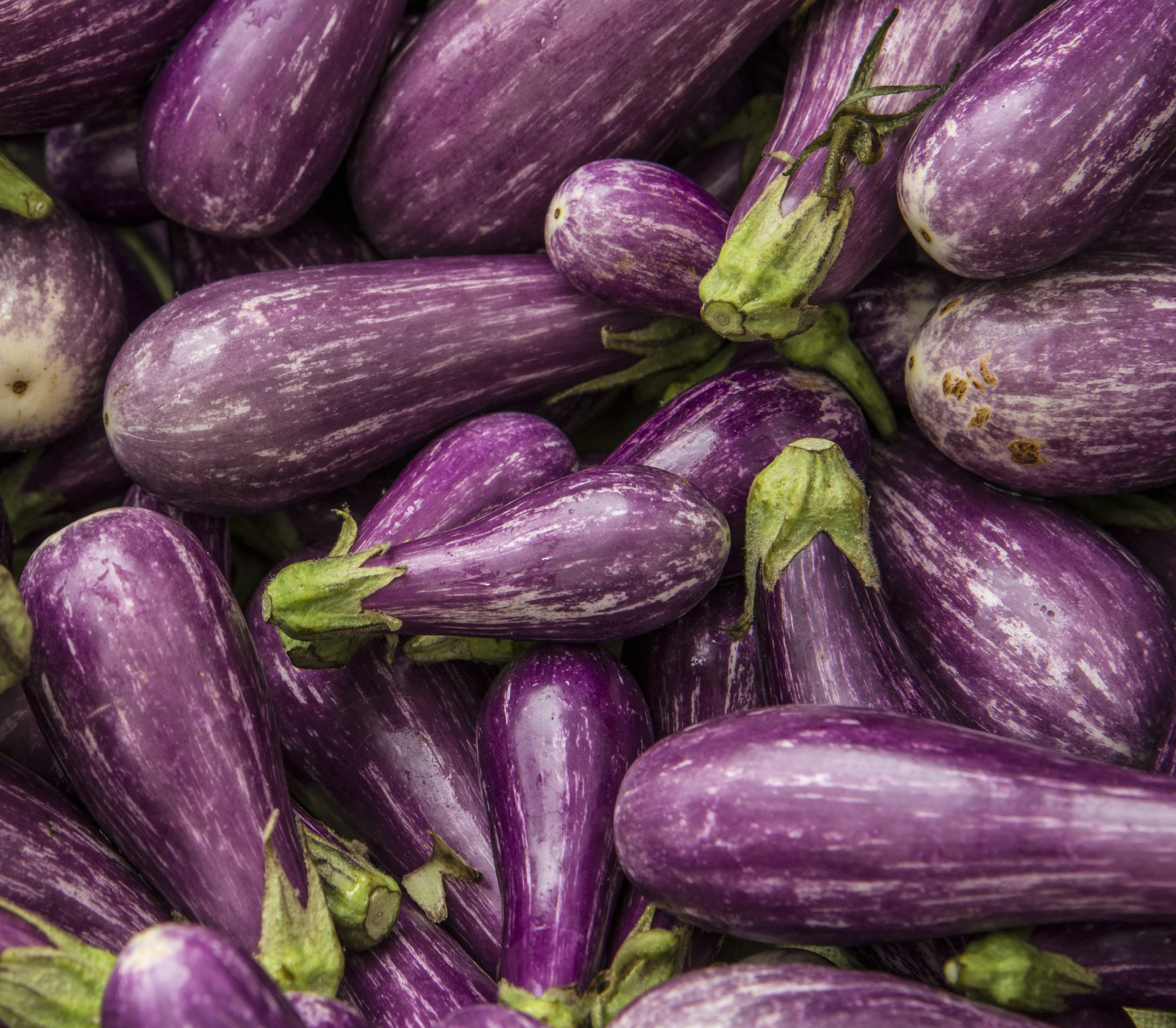 food, eggplant