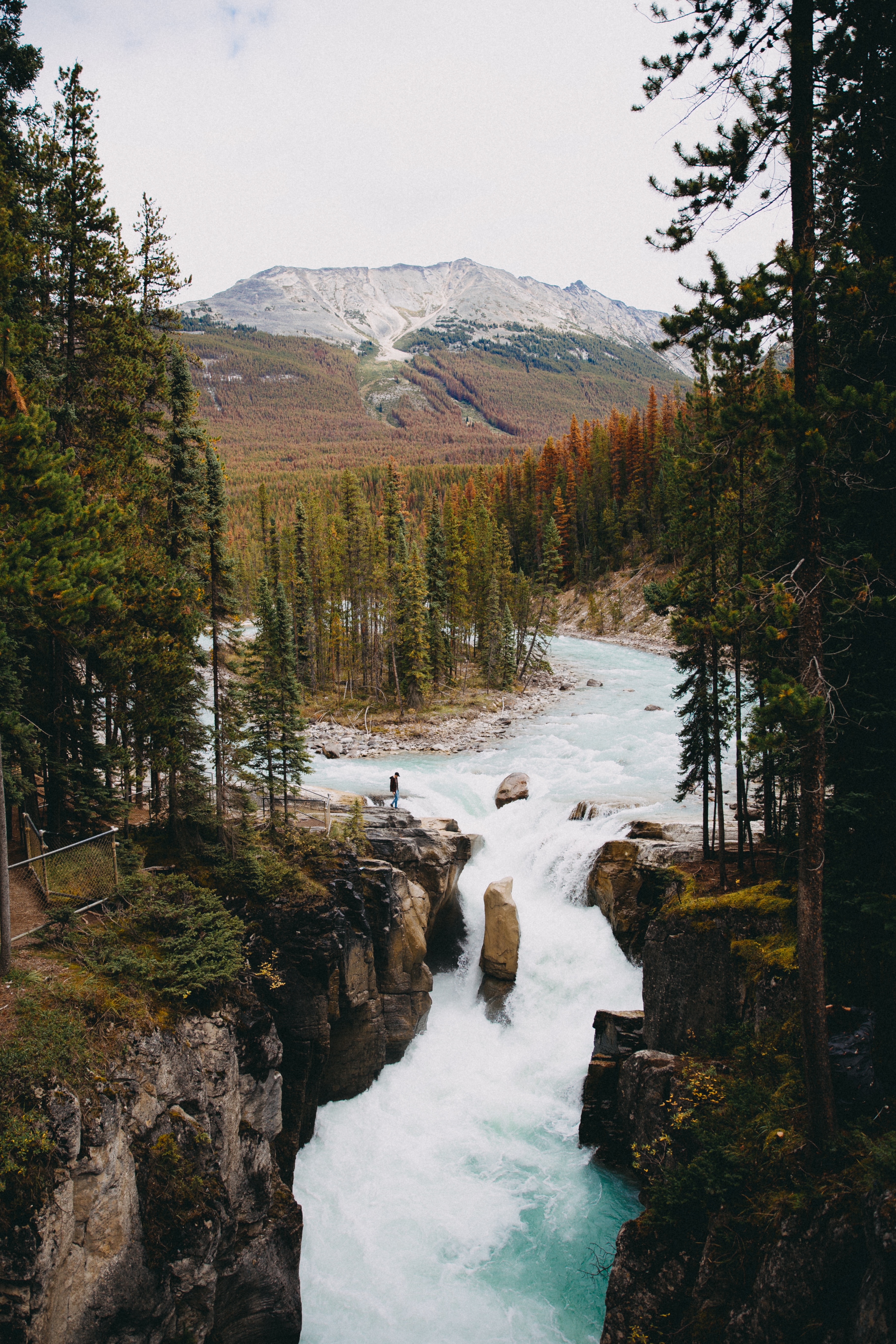 Téléchargez gratuitement l'image Montagne, Forêt, Nature, Rivières, Cascade sur le bureau de votre PC