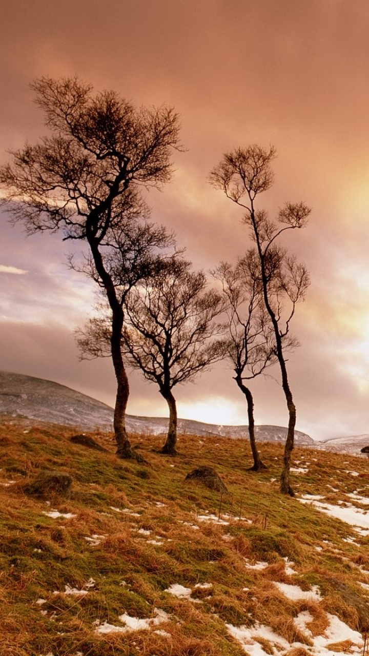 Descarga gratuita de fondo de pantalla para móvil de Paisaje, Tierra/naturaleza.