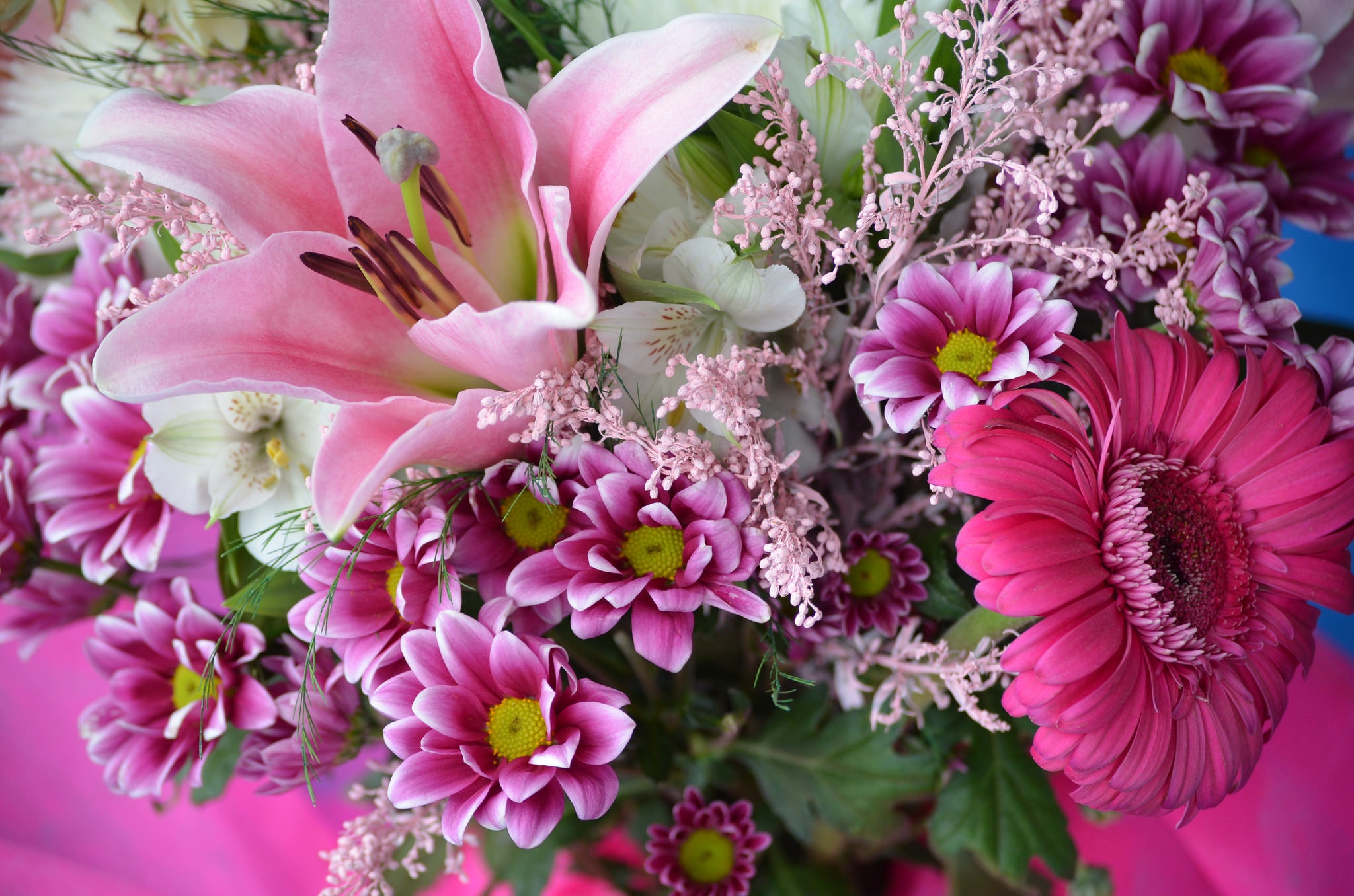 Download mobile wallpaper Flowers, Flower, Earth, Lily, Spring, Gerbera, Pink Flower for free.