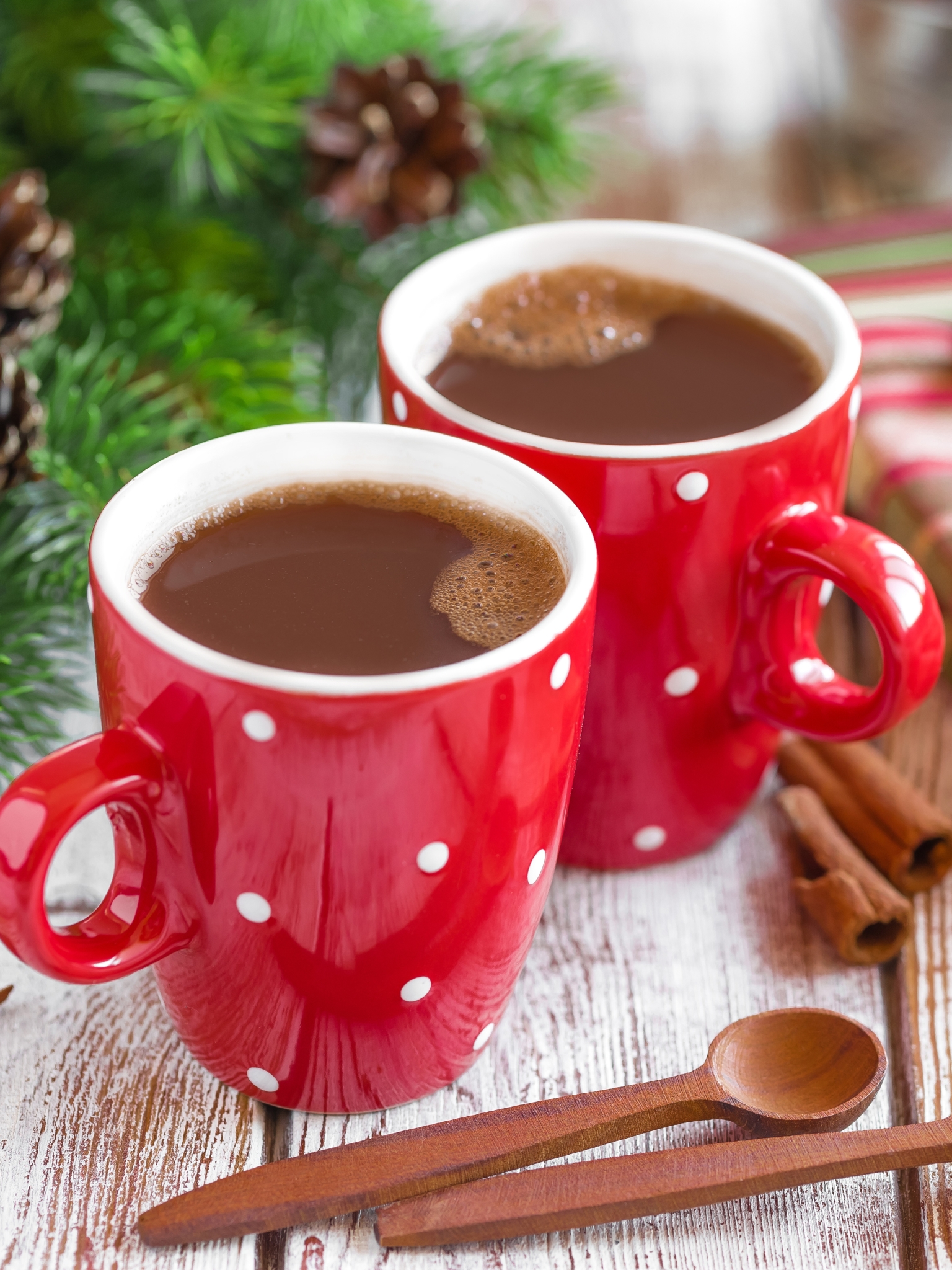 Download mobile wallpaper Food, Cinnamon, Cup, Hot Chocolate for free.