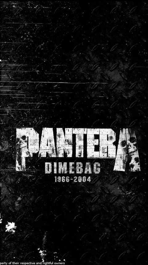 pantera, dimebag darrell, music, guitar, heavy metal, thrash metal, guitarist cellphone
