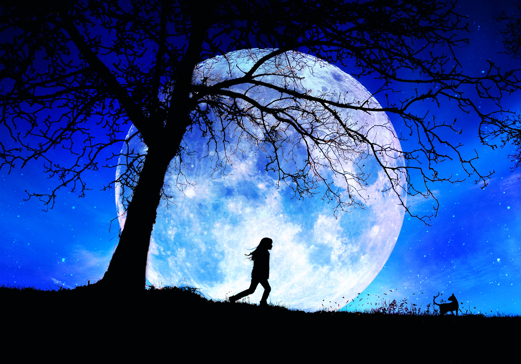 Download mobile wallpaper Night, Moon, Silhouette, Cat, Tree, Artistic, Little Girl for free.