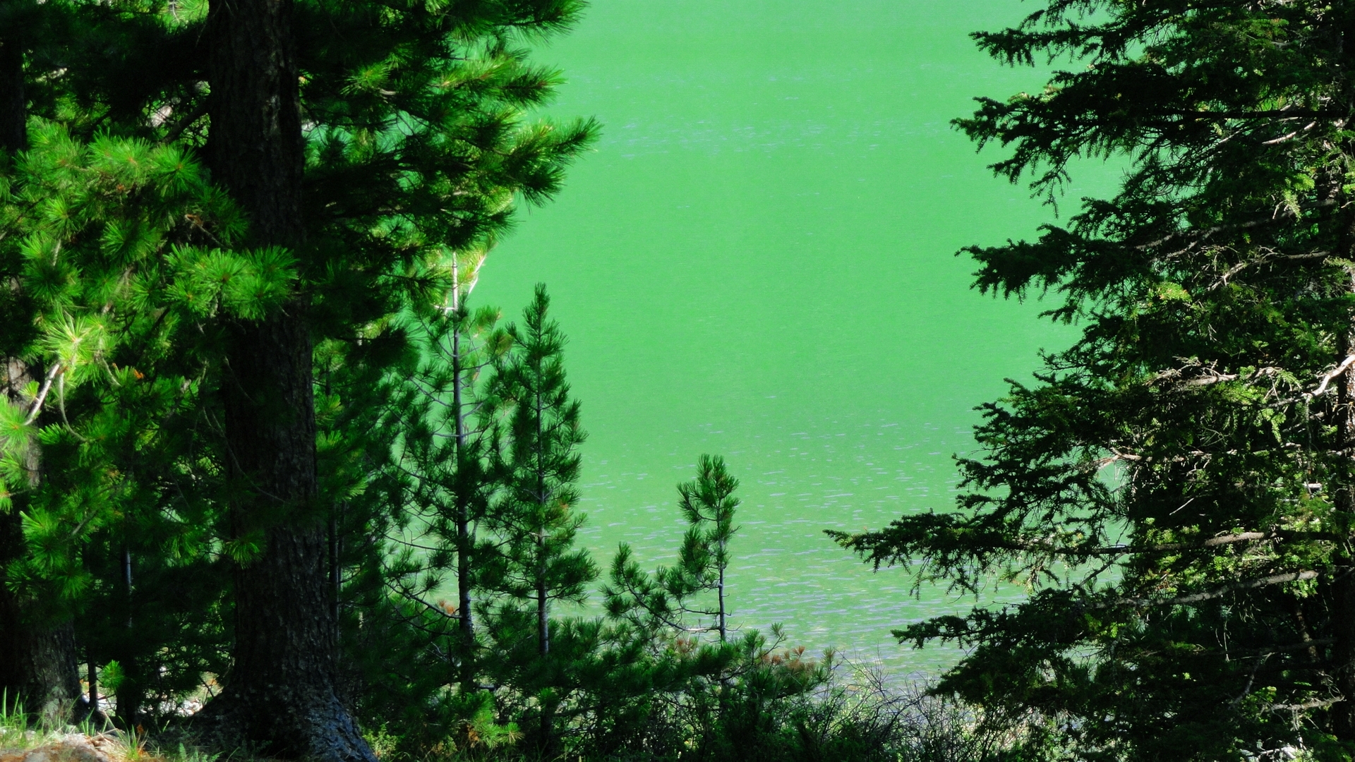 Скачать картинку Озера, Озеро, Земля/природа в телефон бесплатно.