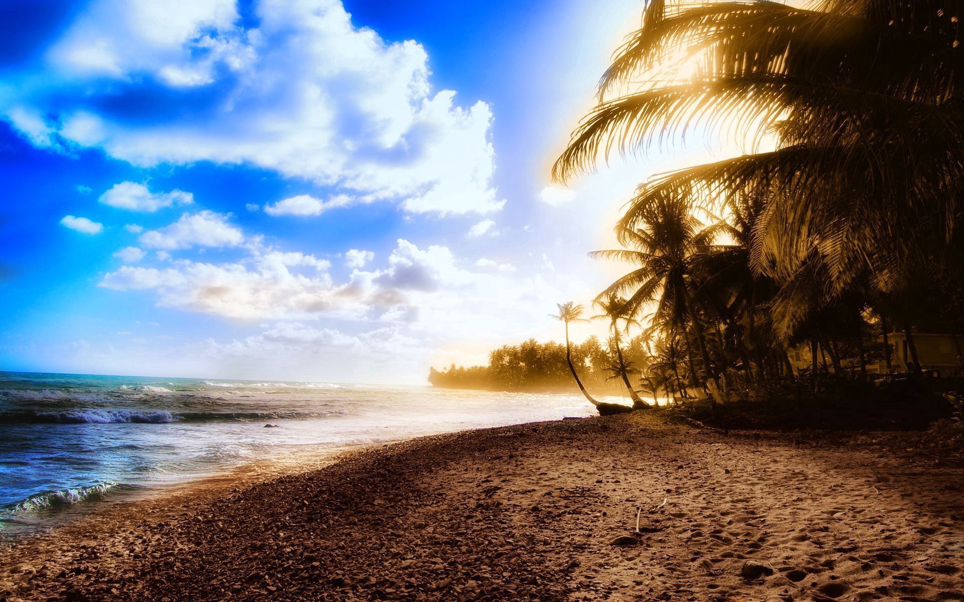 140552 завантажити шпалери природа, небо, сонце, хмари, пляж, пальми, берег, банк, світло, світлий, тепло, спека - заставки і картинки безкоштовно