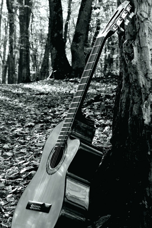 Download mobile wallpaper Music, Forest, Guitar, Black & White for free.