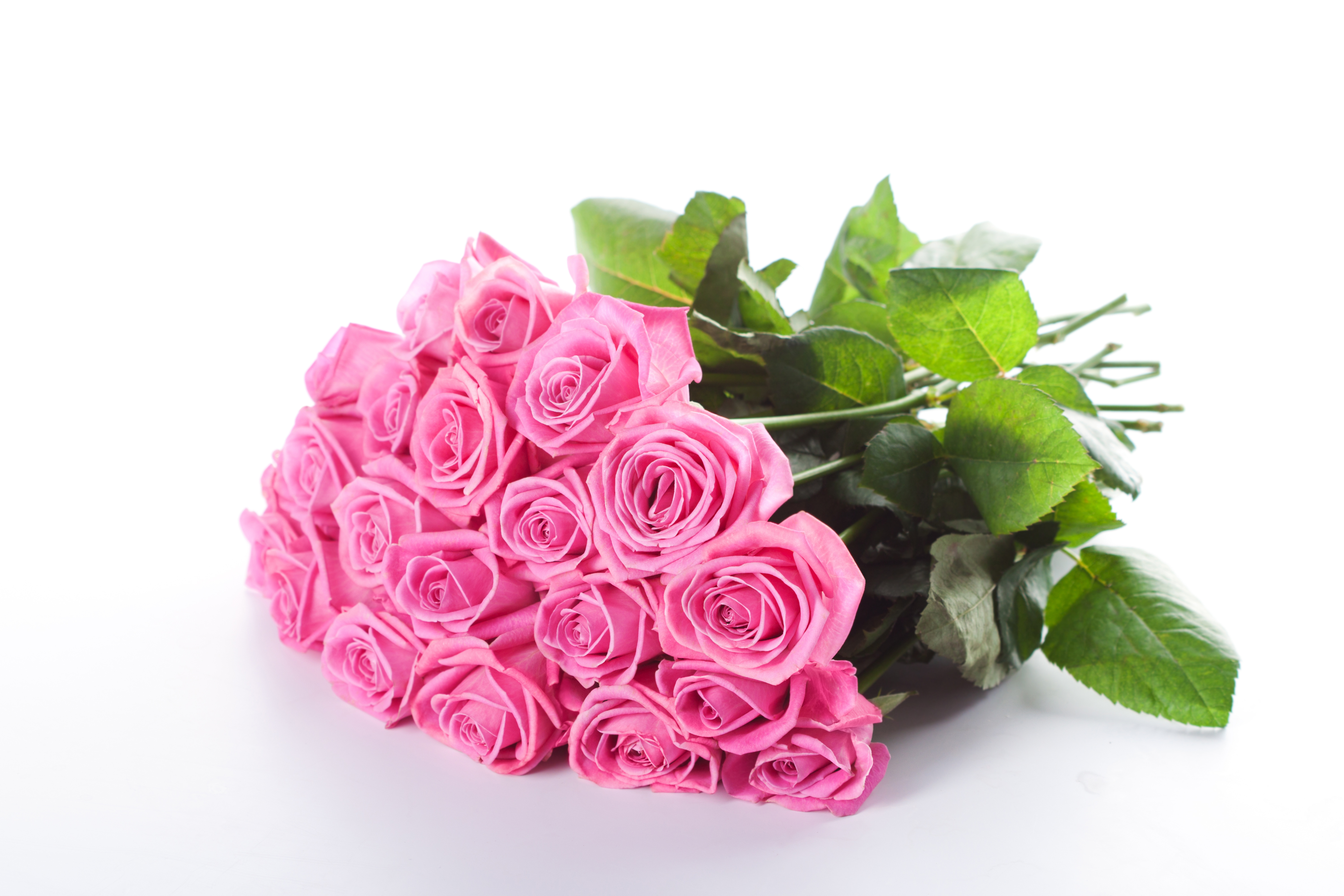 Free download wallpaper Flowers, Rose, Bouquet, Earth, Pink Rose on your PC desktop