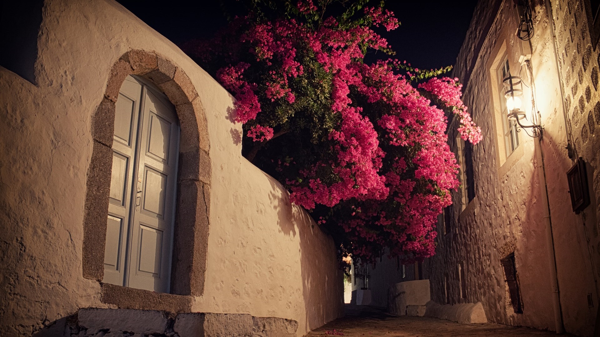 Free download wallpaper Alley, Bougainvillea, Man Made on your PC desktop