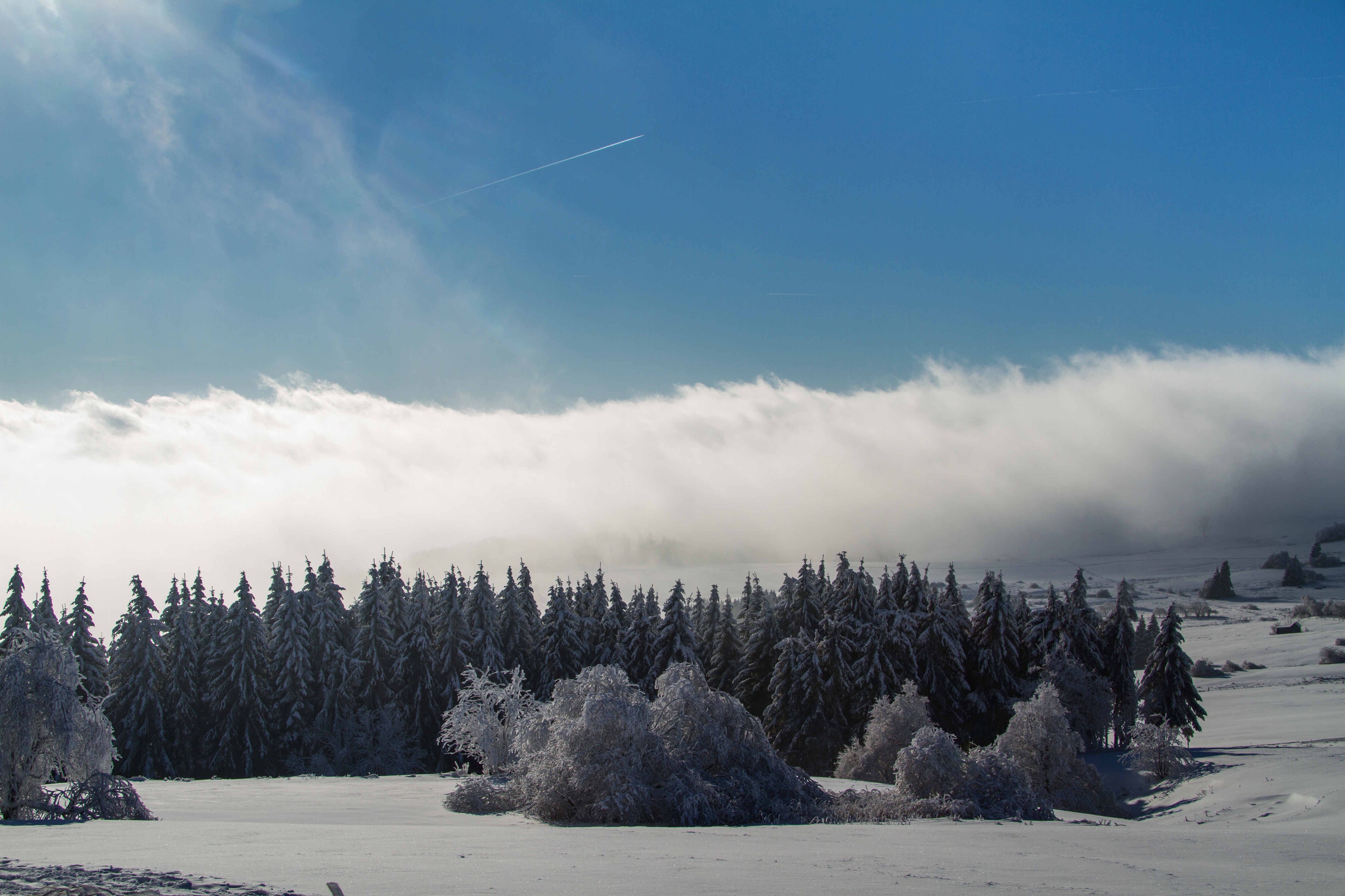 Téléchargez gratuitement l'image Paysage, Hiver, Arbre, Nuage, La Nature, Terre/nature sur le bureau de votre PC