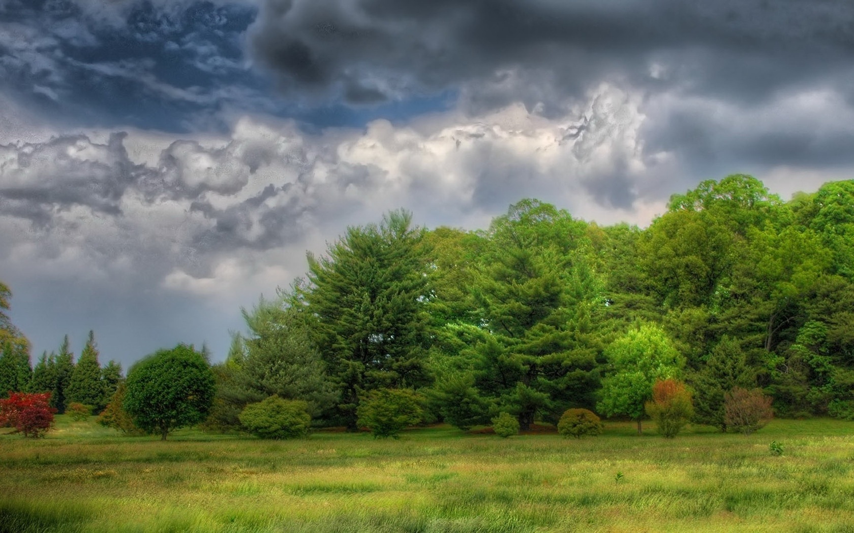 Laden Sie das Natur, Bäume, Landschaft-Bild kostenlos auf Ihren PC-Desktop herunter