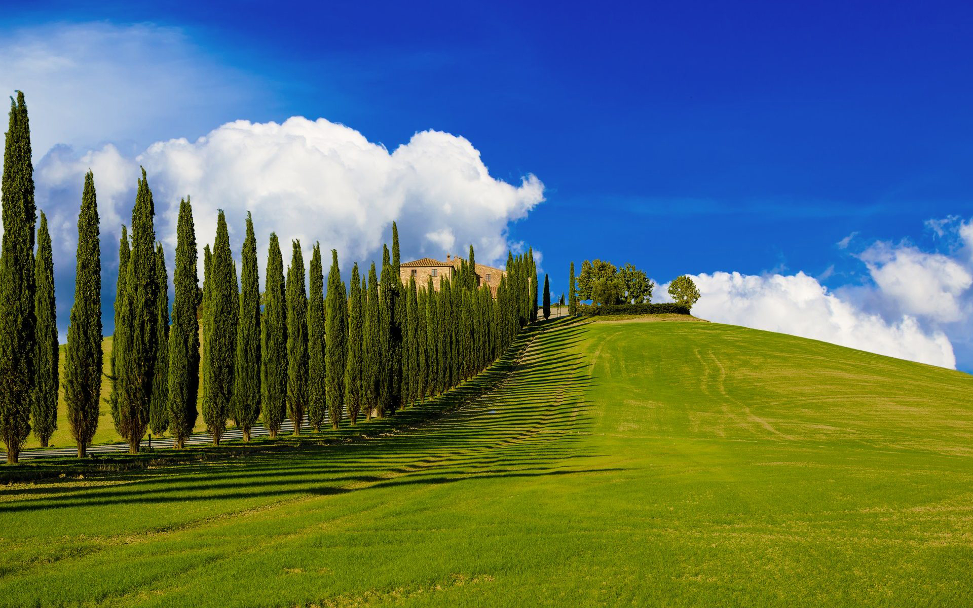 Download mobile wallpaper Grass, Sky, Italy, Tree, Cloud, Photography, Tuscany for free.