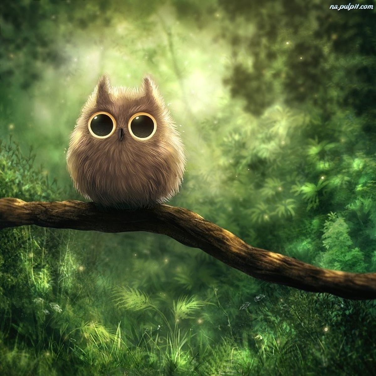 pictures, owl, birds, green High Definition image