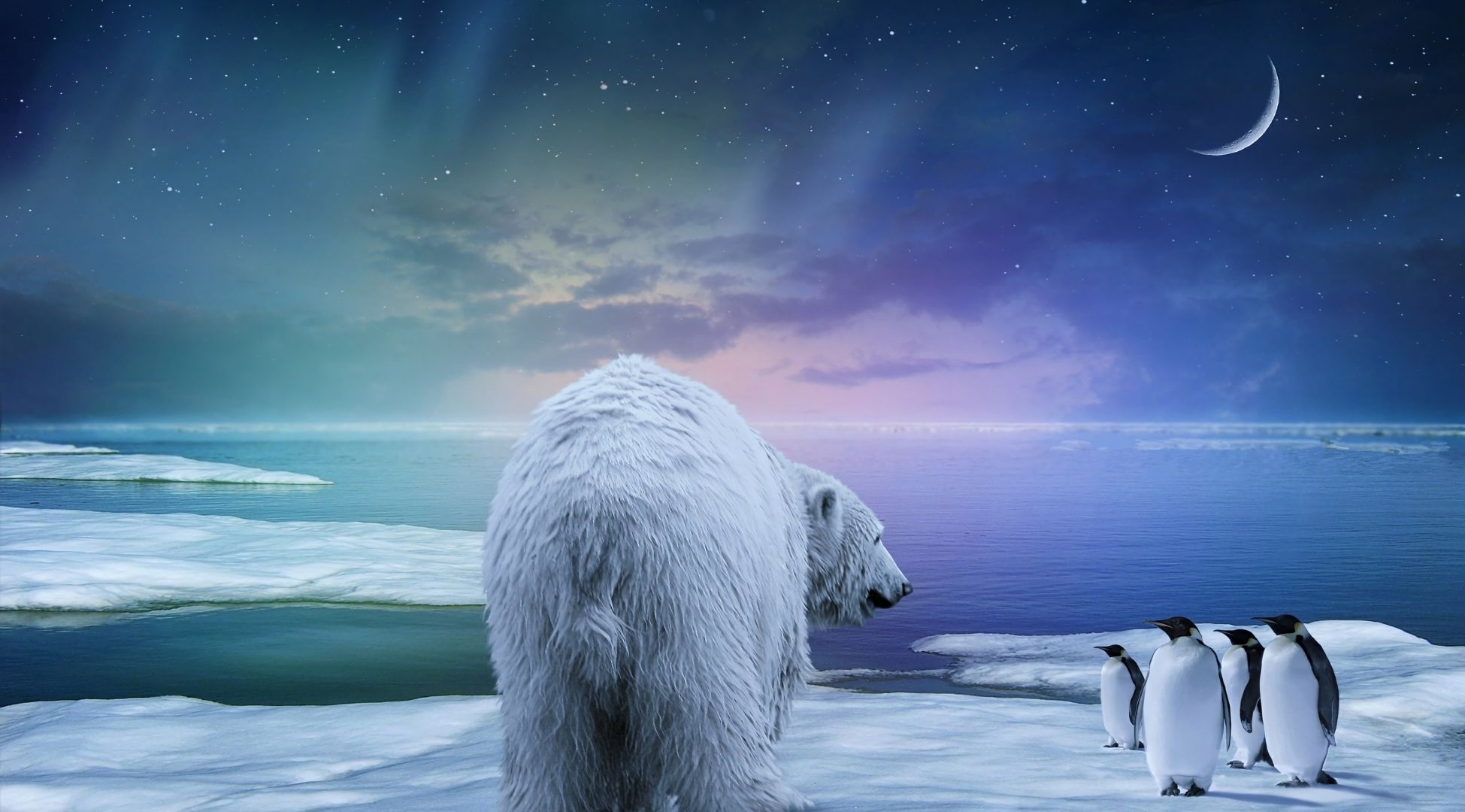 Скачать обои бесплатно Зима, Небо, Звезды, Луна, Снег, Медведь, Фантазия, Пингвин, Белый Медведь, Художественные картинка на рабочий стол ПК