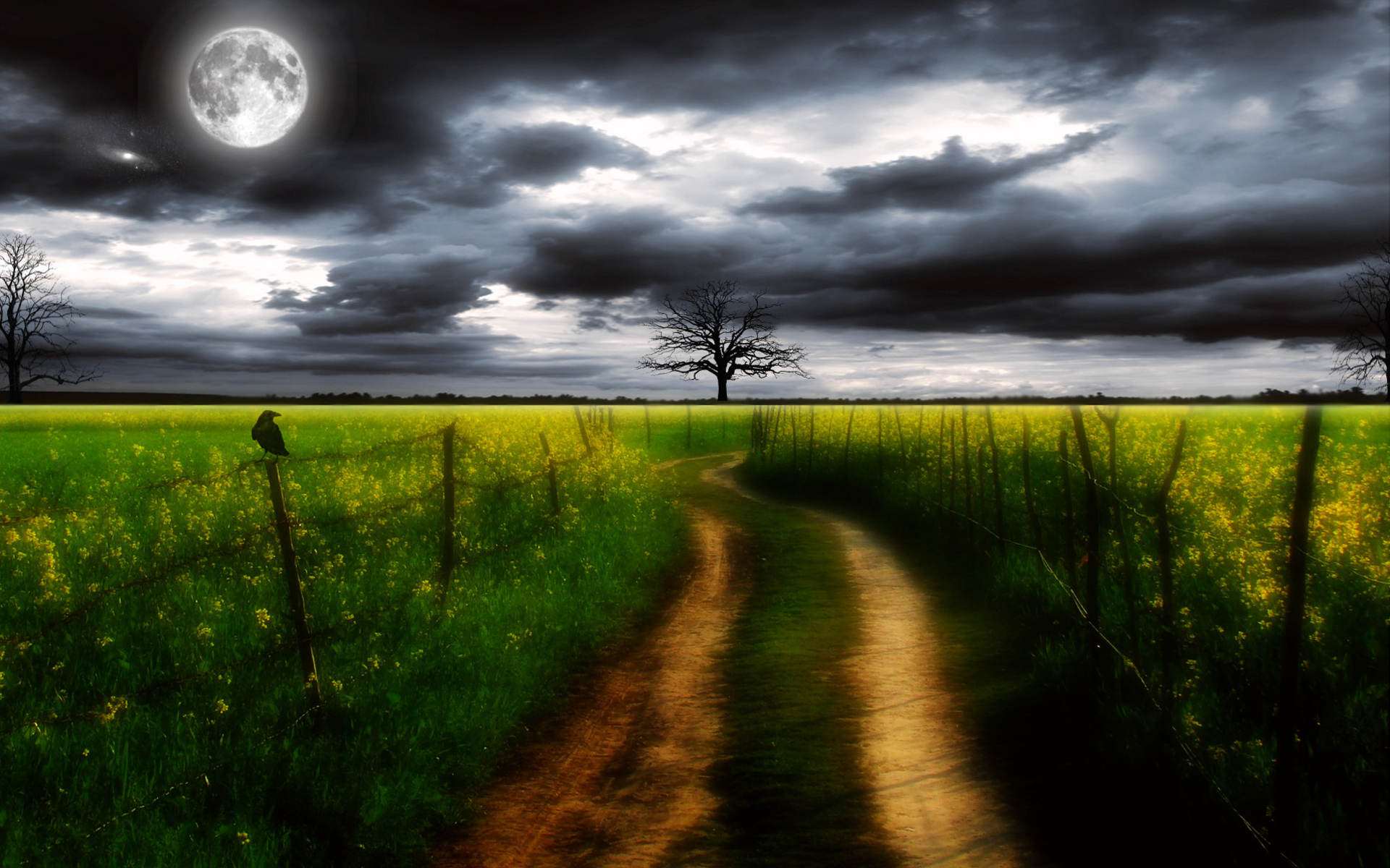 Free download wallpaper Night, Moon, Road, Tree, Fence, Artistic on your PC desktop