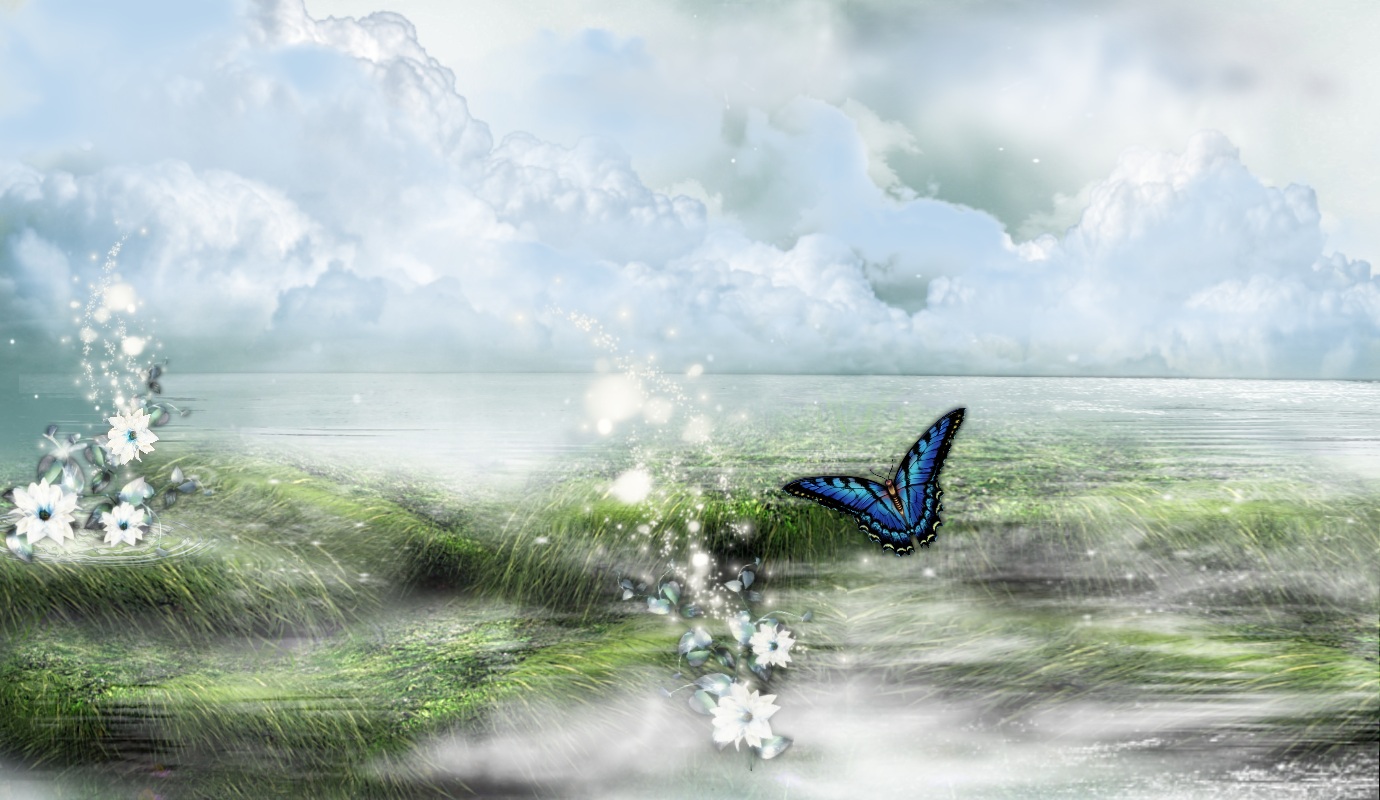 無料モバイル壁紙自然, 蝶, 水, 青い, 芸術的をダウンロードします。