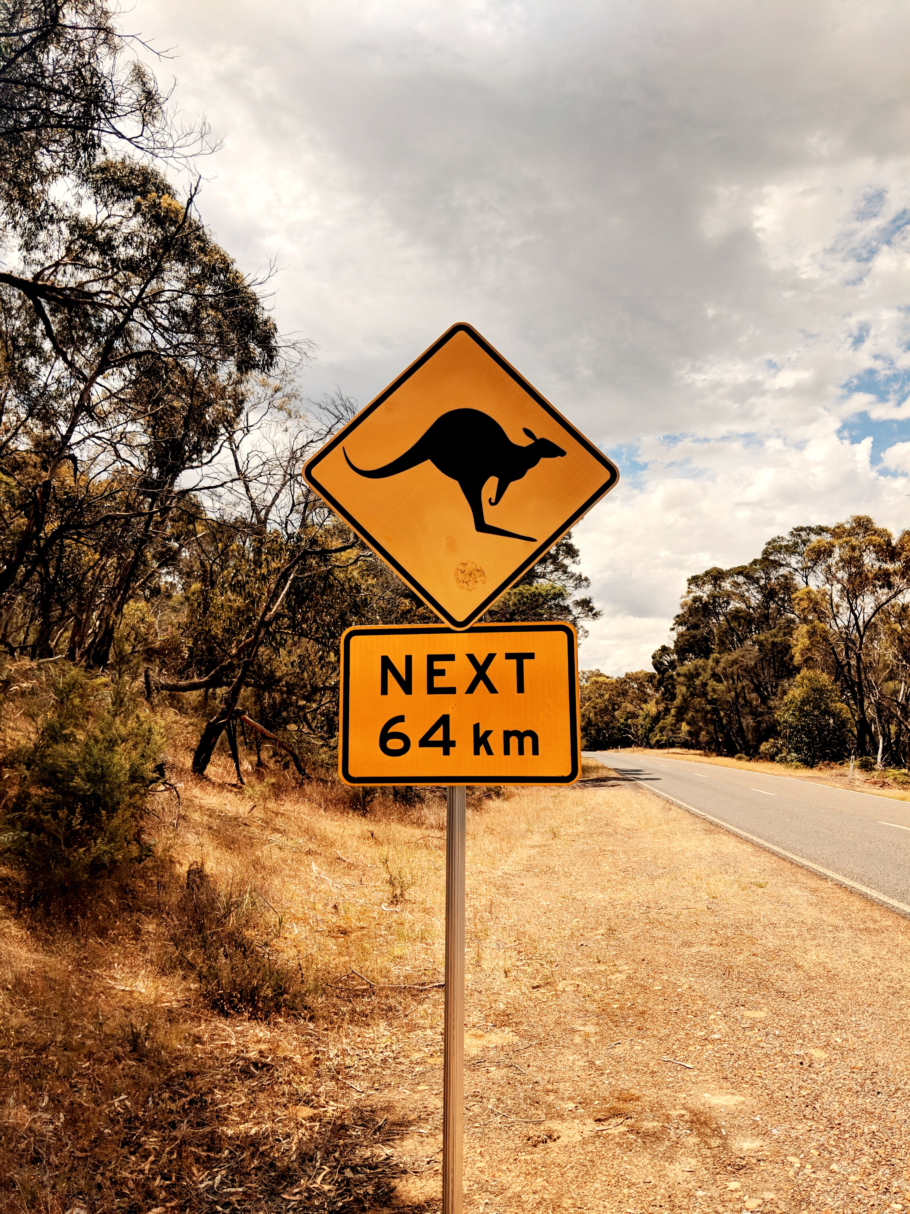 sign, kangaroo, words, road, inscription