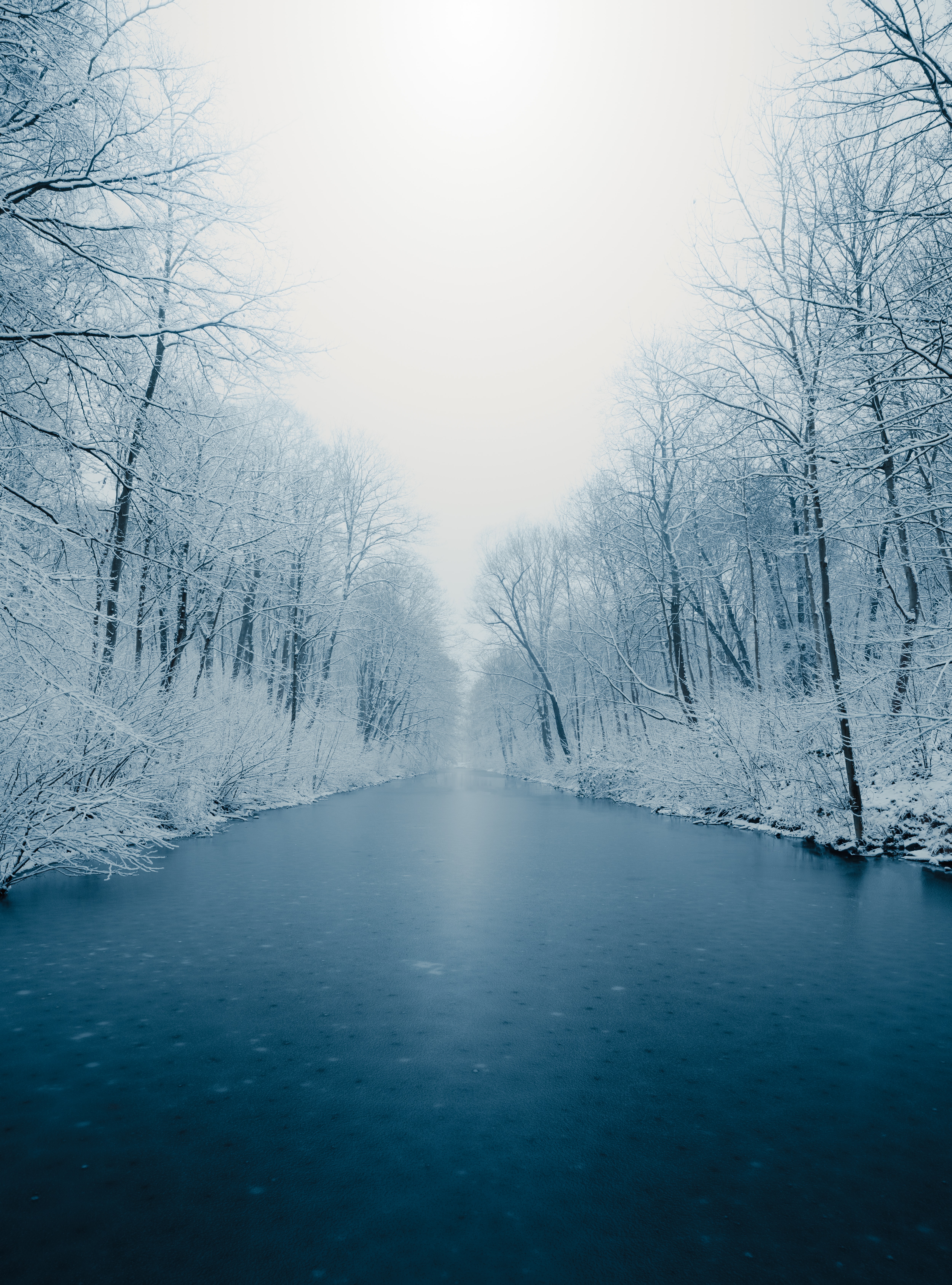 Download mobile wallpaper Trees, Rivers, Nature, Snow, Winter, Ice for free.