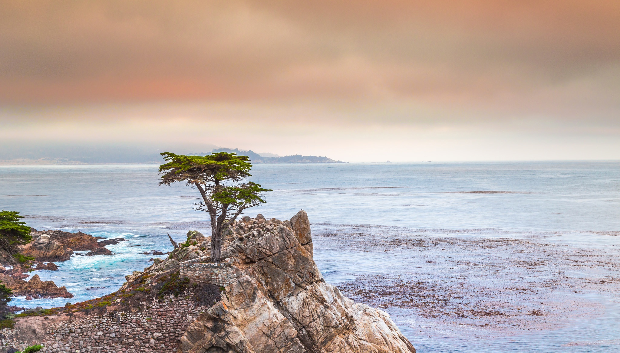 Free download wallpaper Nature, Horizon, Coast, Tree, Ocean, Earth on your PC desktop