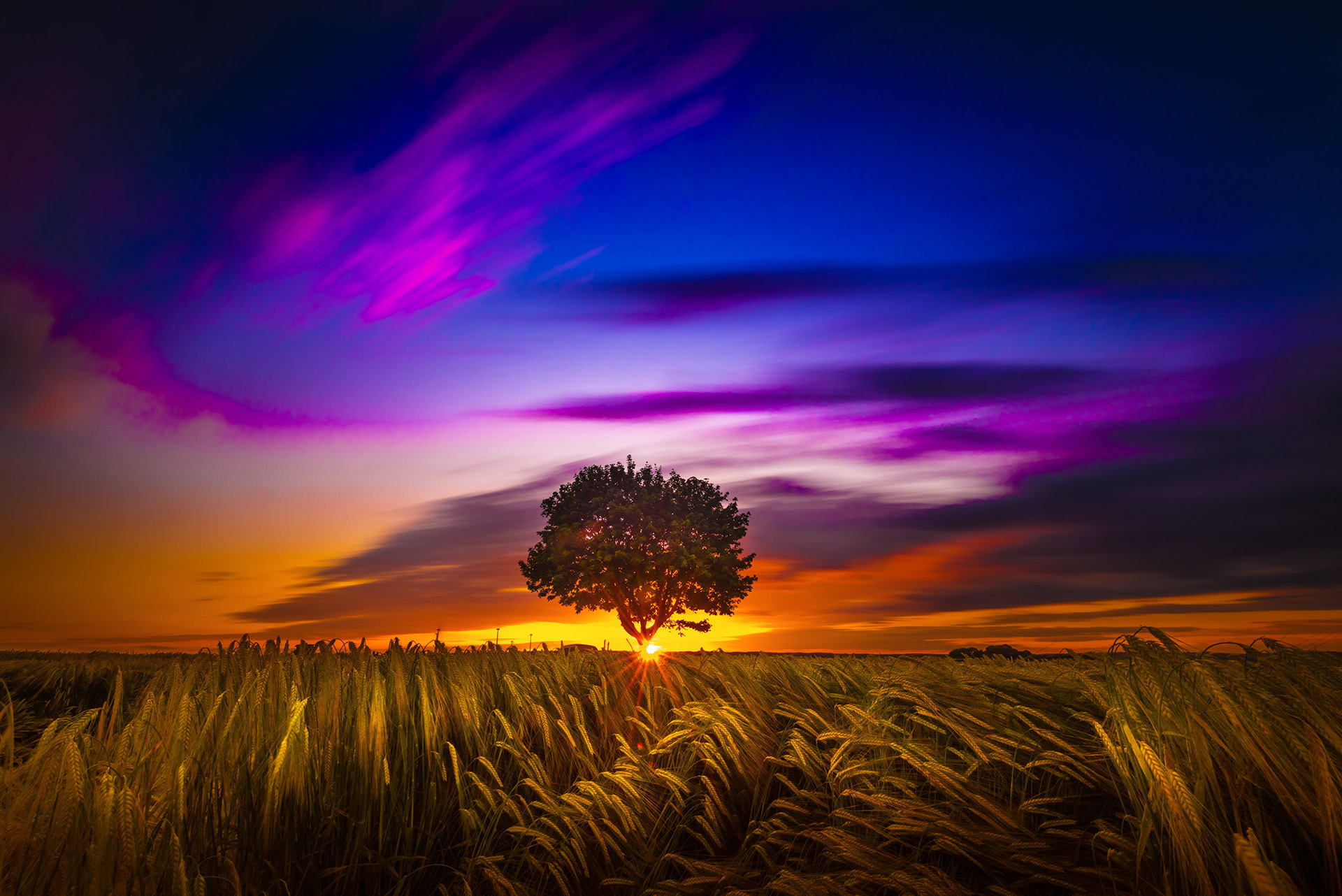 Download mobile wallpaper Landscape, Nature, Sunset, Sky, Wheat, Tree, Earth, Field, Cloud, Sunbeam, Lonely Tree for free.
