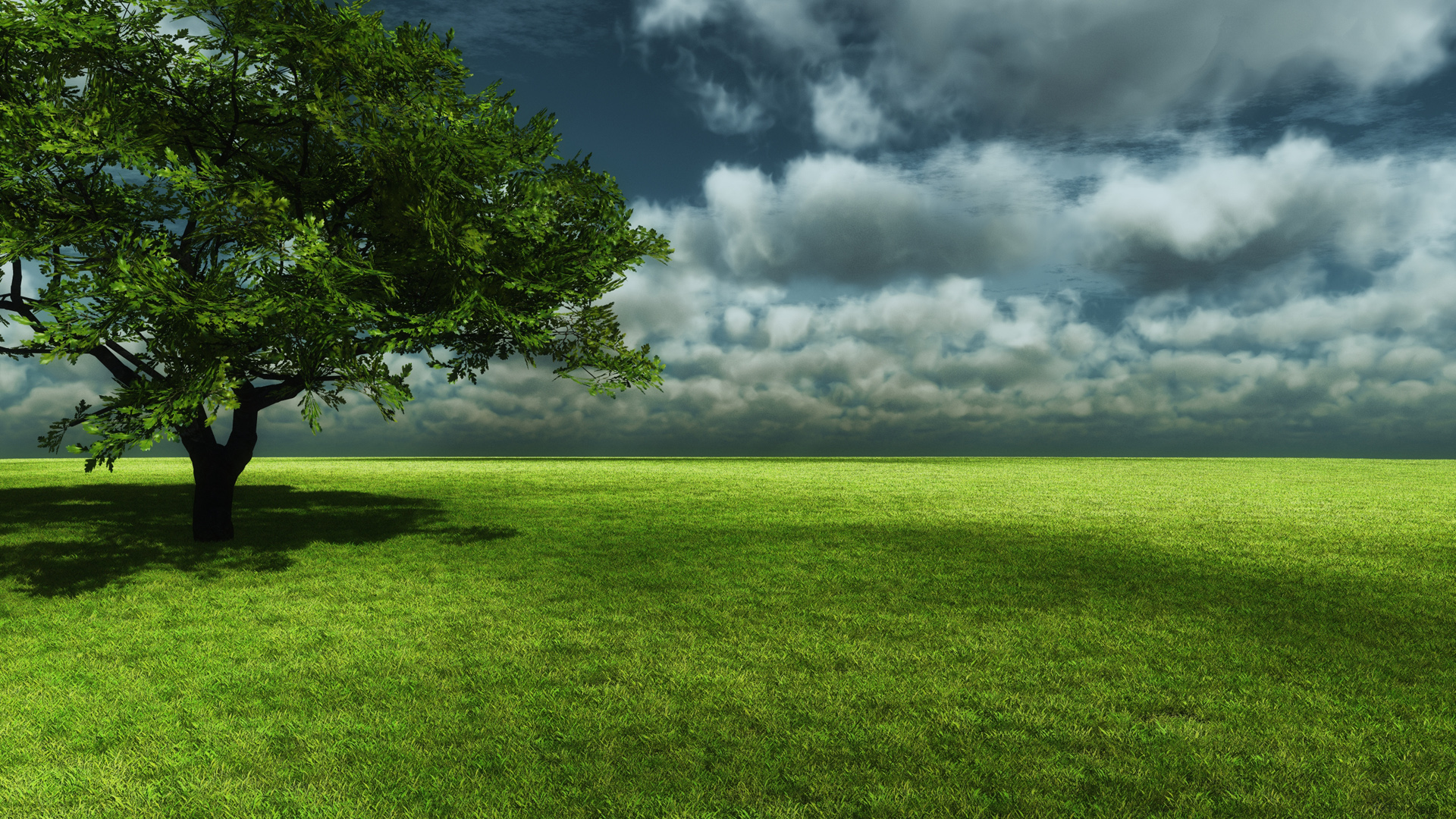 Скачать обои бесплатно Деревья, Трава, Небо, Облака, Горизонт, Дерево, Поле, Ландшафт, Земля/природа картинка на рабочий стол ПК