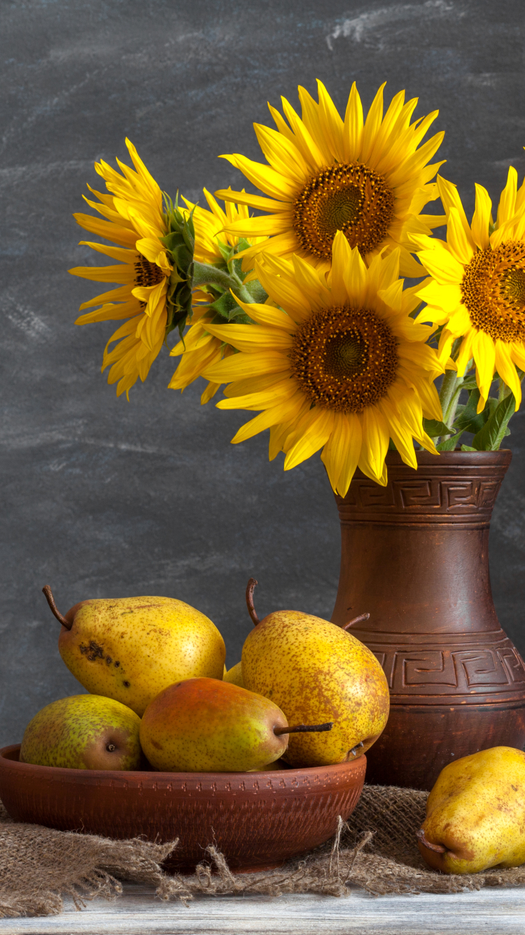 photography, still life, pear, yellow flower, sunflower, bowl, vase phone background