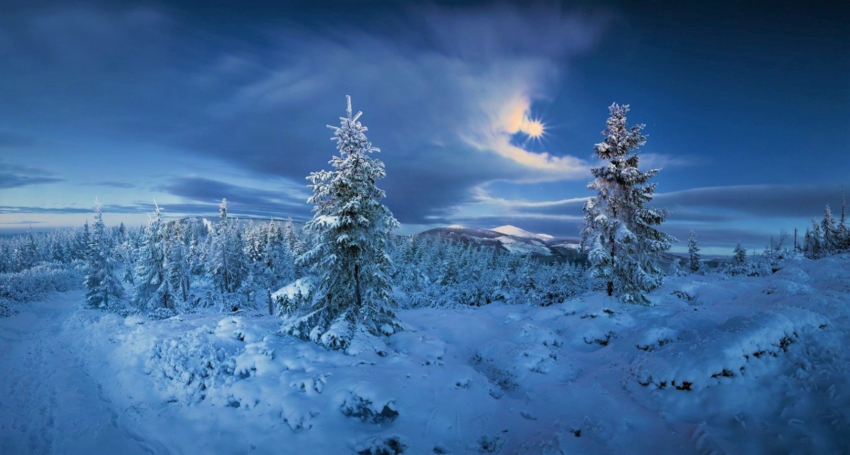 Скачать обои бесплатно Пейзаж, Зима, Снег, Дерево, Земля, Земля/природа картинка на рабочий стол ПК
