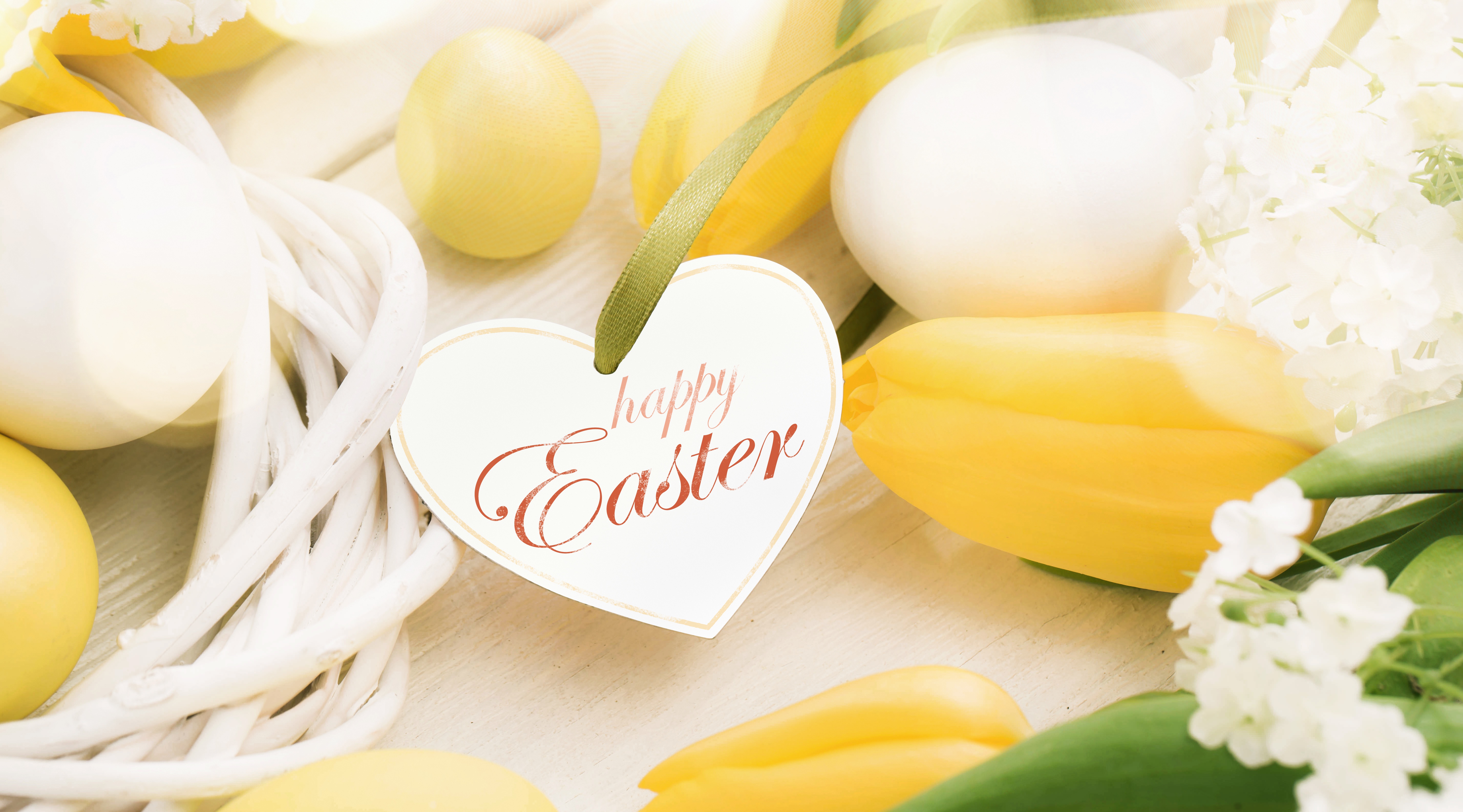 Download mobile wallpaper Easter, Holiday, Tulip, Egg, Happy Easter for free.