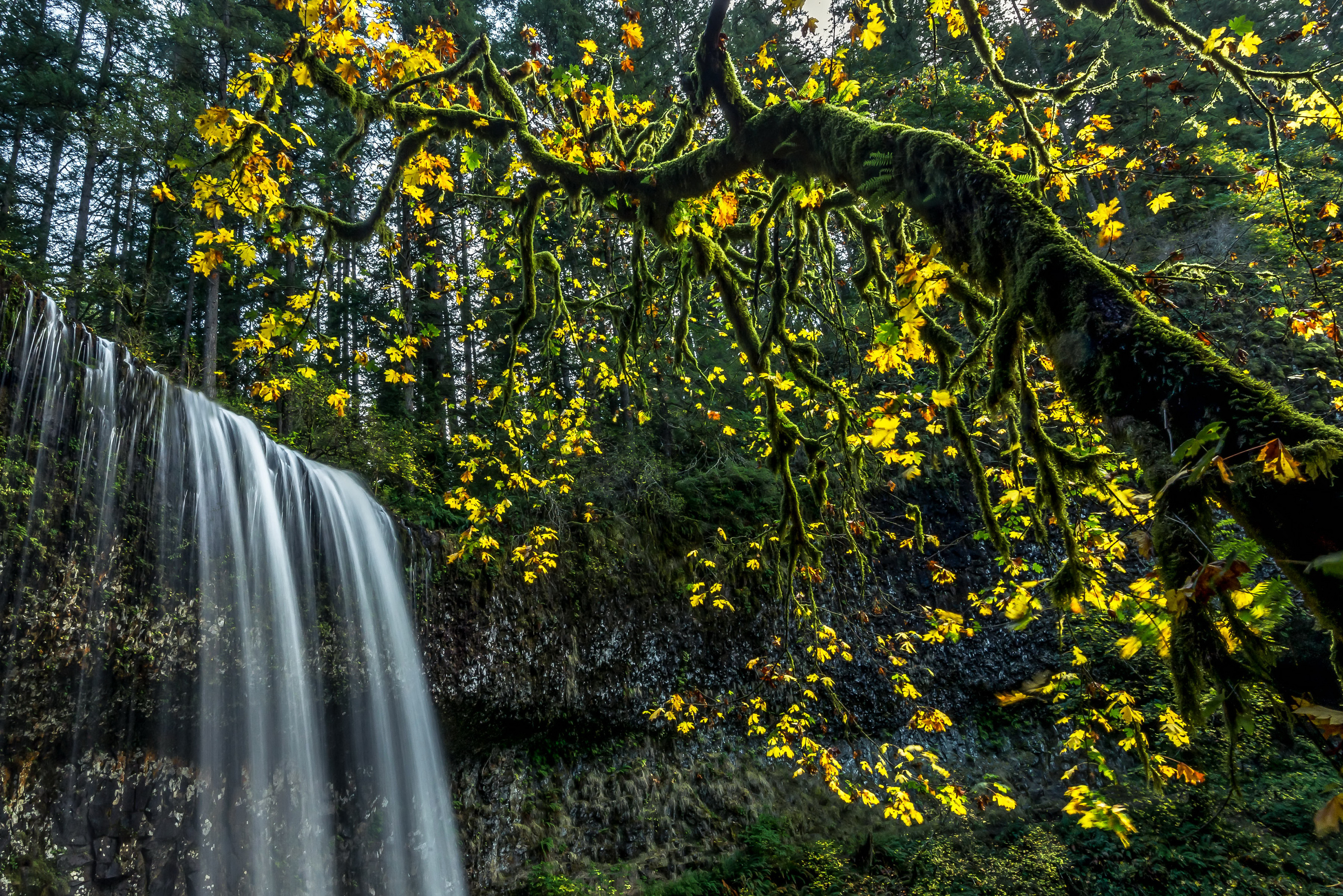 Handy-Wallpaper Herbst, Wasserfälle, Wasserfall, Baum, Erde/natur kostenlos herunterladen.