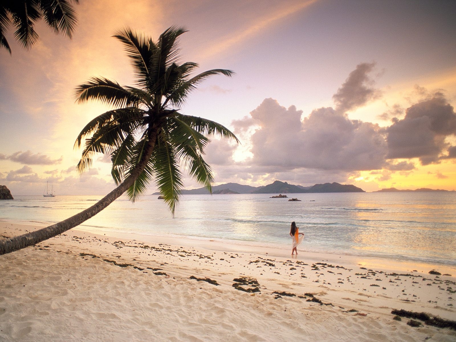 Download mobile wallpaper Landscape, Sky, Sea, Palms, Beach for free.