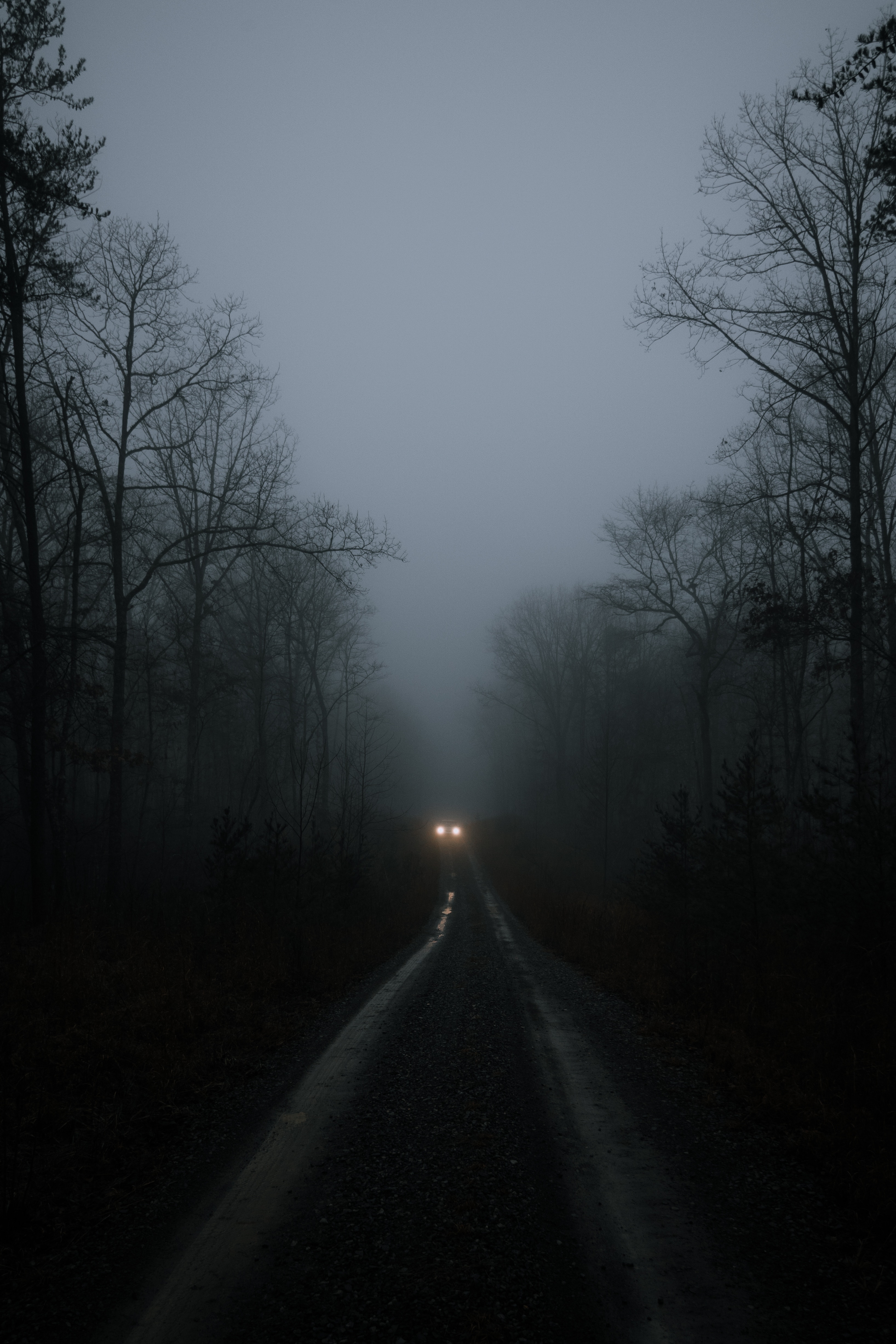 112162 descargar imagen oscuro, niebla, árboles, faros, luces, camino, carro, coche: fondos de pantalla y protectores de pantalla gratis