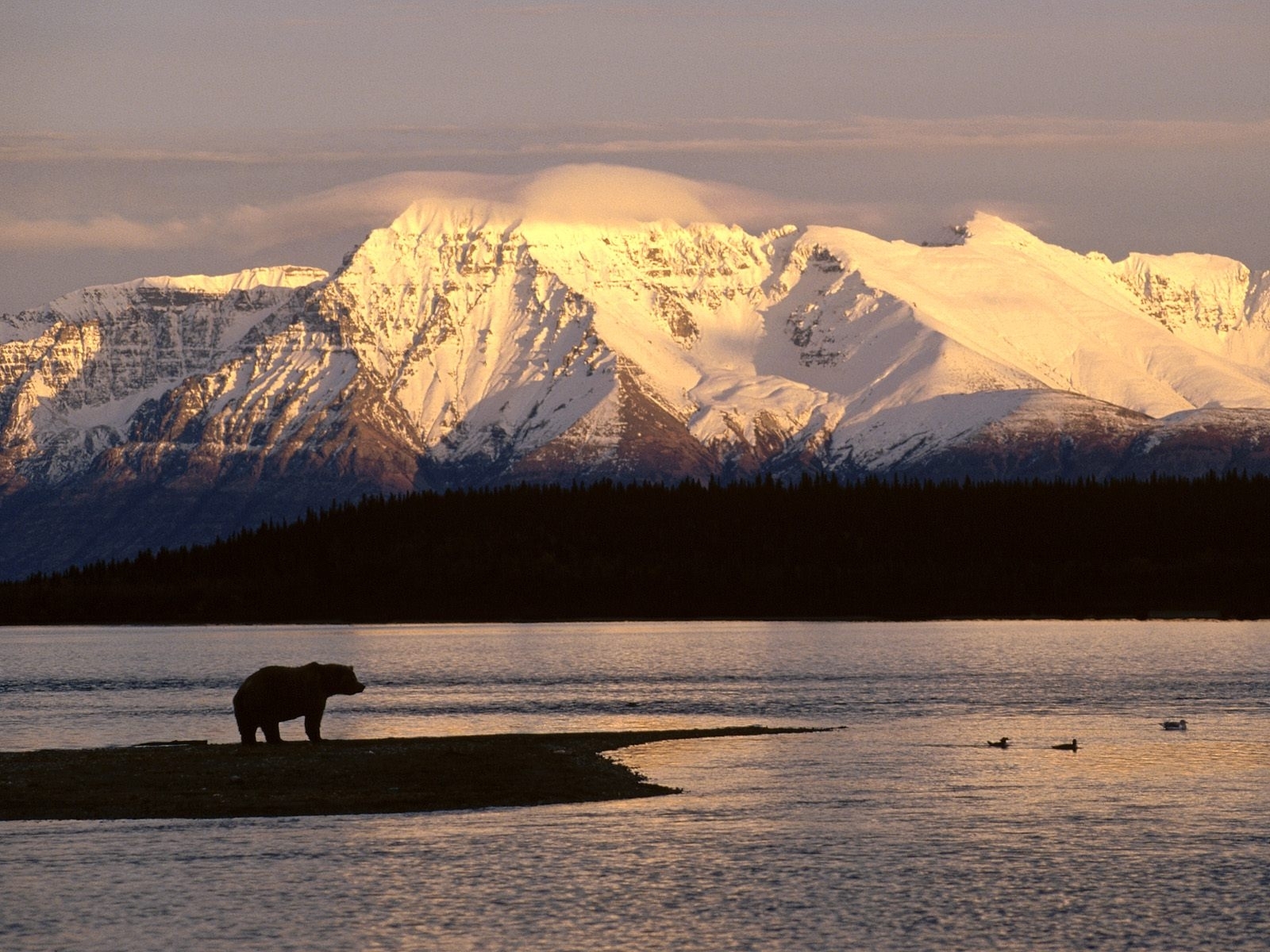 Téléchargez gratuitement l'image Montagnes, Neige, Rivières, Nature, Paysage sur le bureau de votre PC