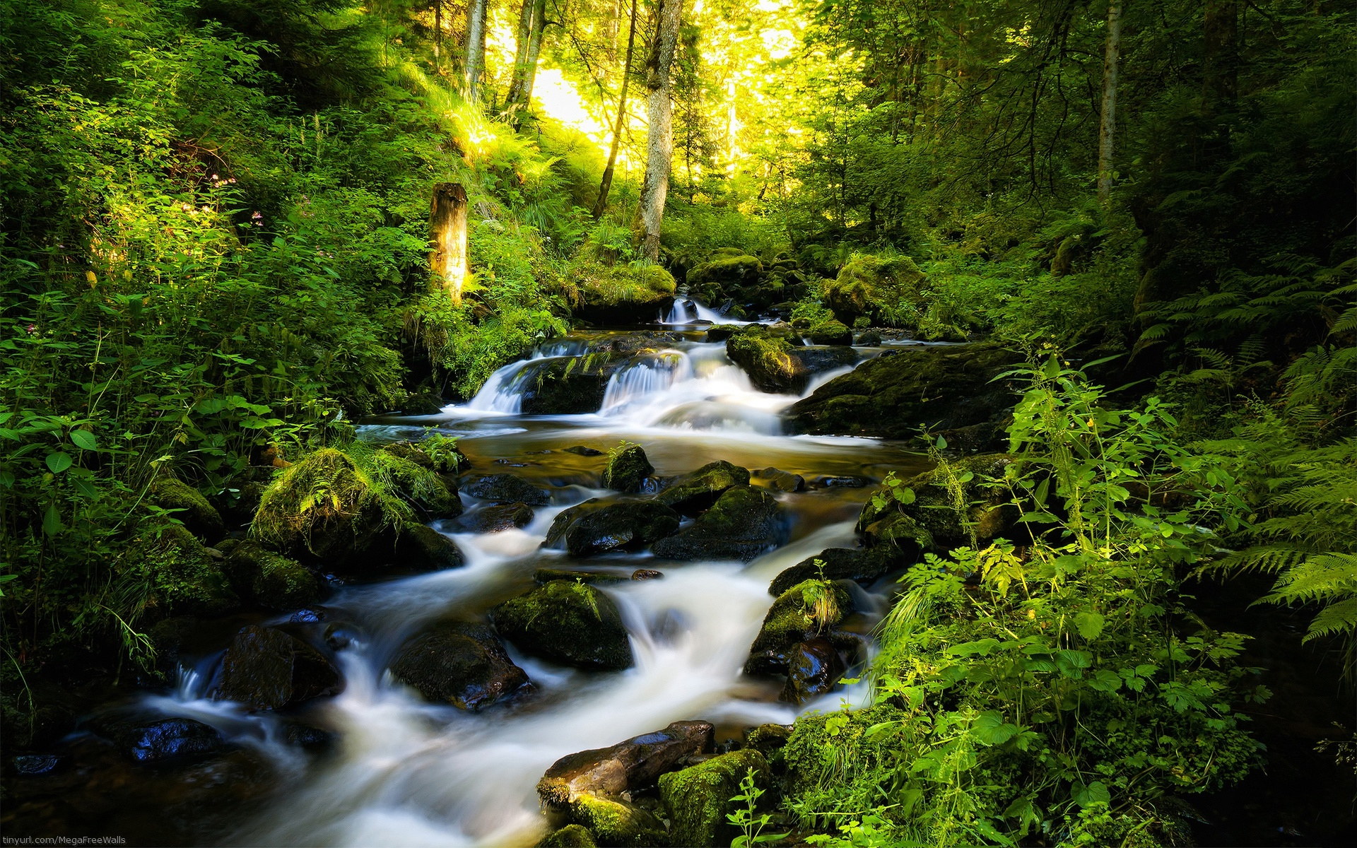 Download mobile wallpaper Nature, Earth, Stream, Greenery for free.