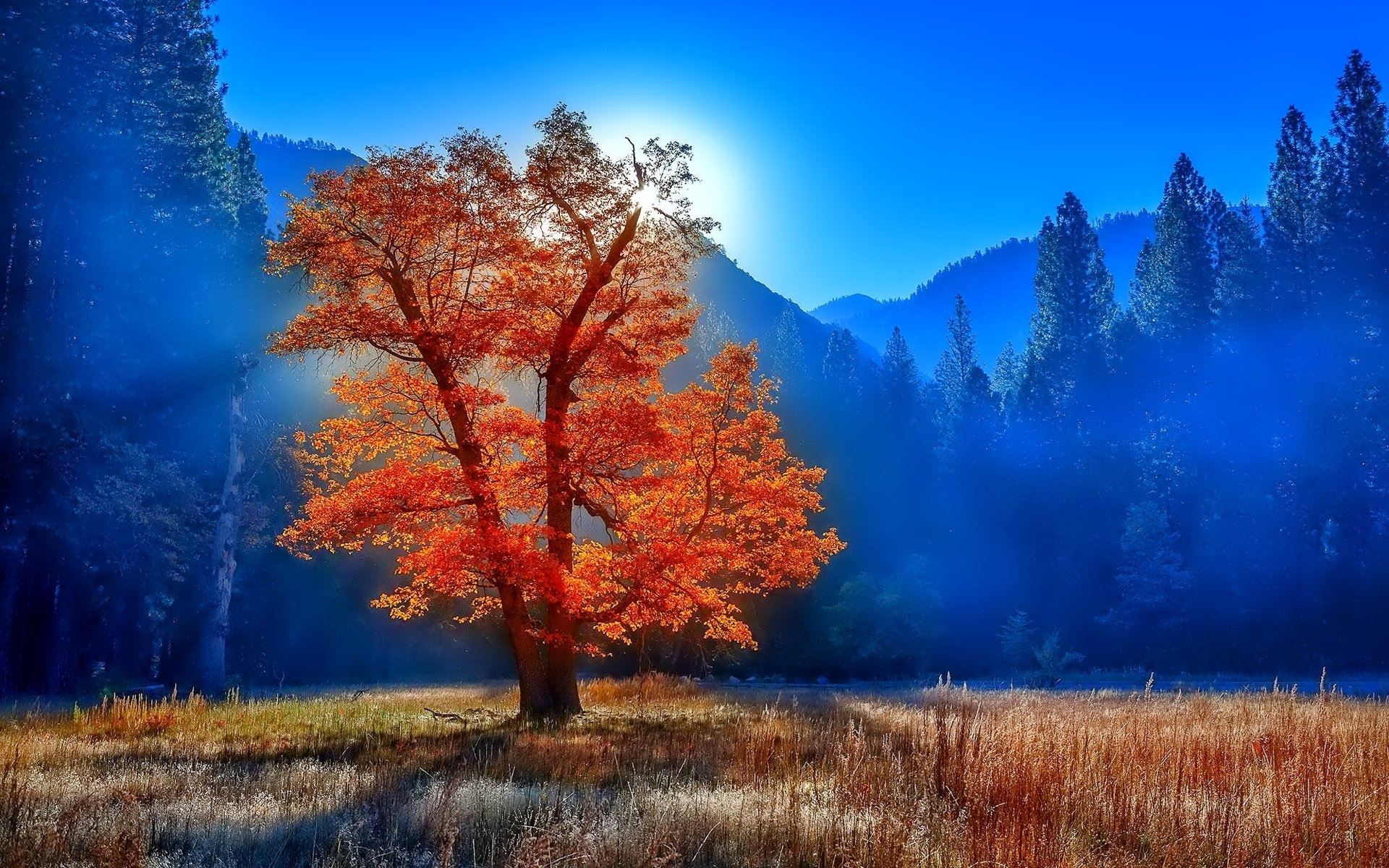 Free download wallpaper Mountain, Tree, Fall, Earth on your PC desktop