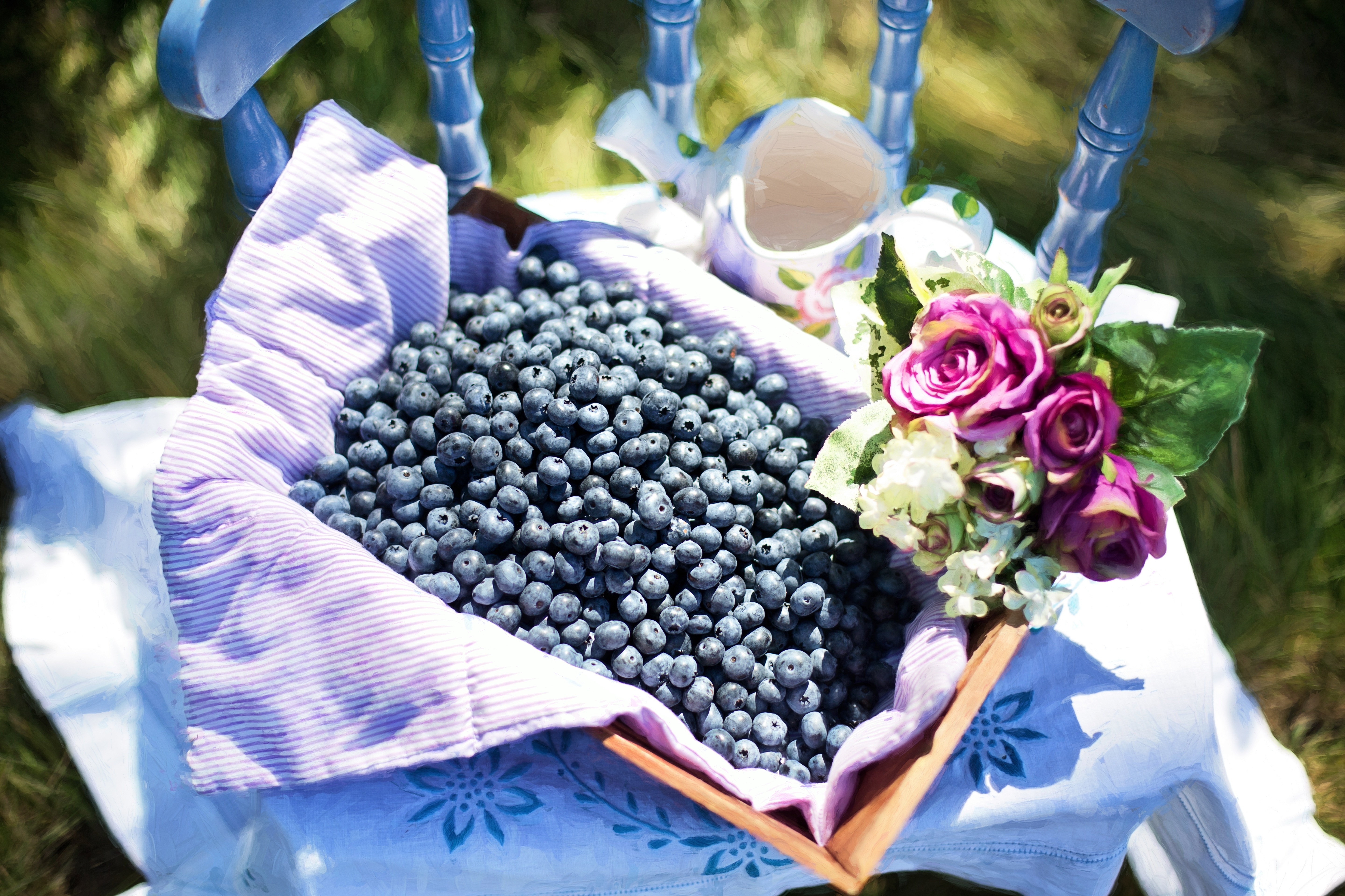 Free download wallpaper Food, Blueberry, Still Life, Berry, Fruit on your PC desktop