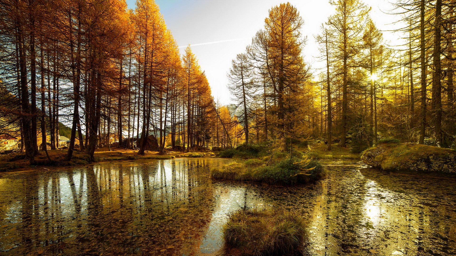 Descarga gratuita de fondo de pantalla para móvil de Naturaleza, Otoño, Tierra/naturaleza.