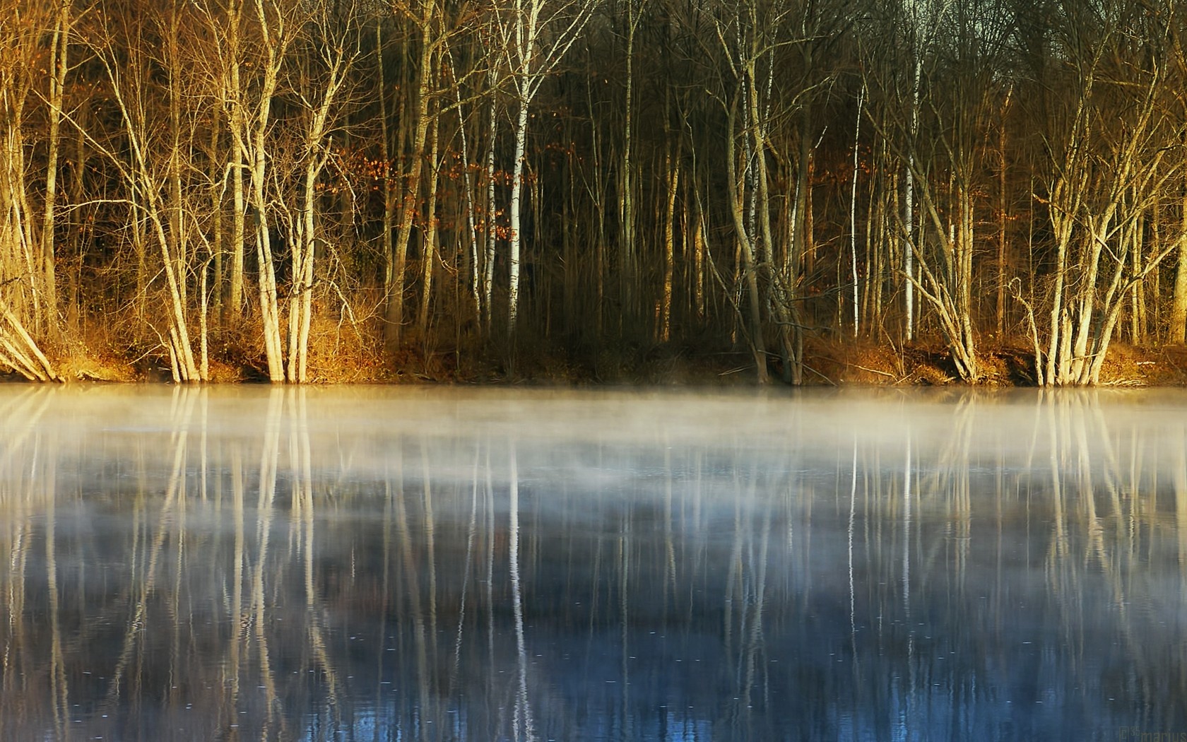 Free download wallpaper Lakes, Lake, Reflection, Forest, Tree, Fog, Earth on your PC desktop