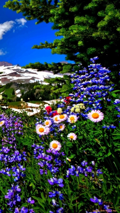 Descarga gratuita de fondo de pantalla para móvil de Montañas, Montaña, Tierra/naturaleza.