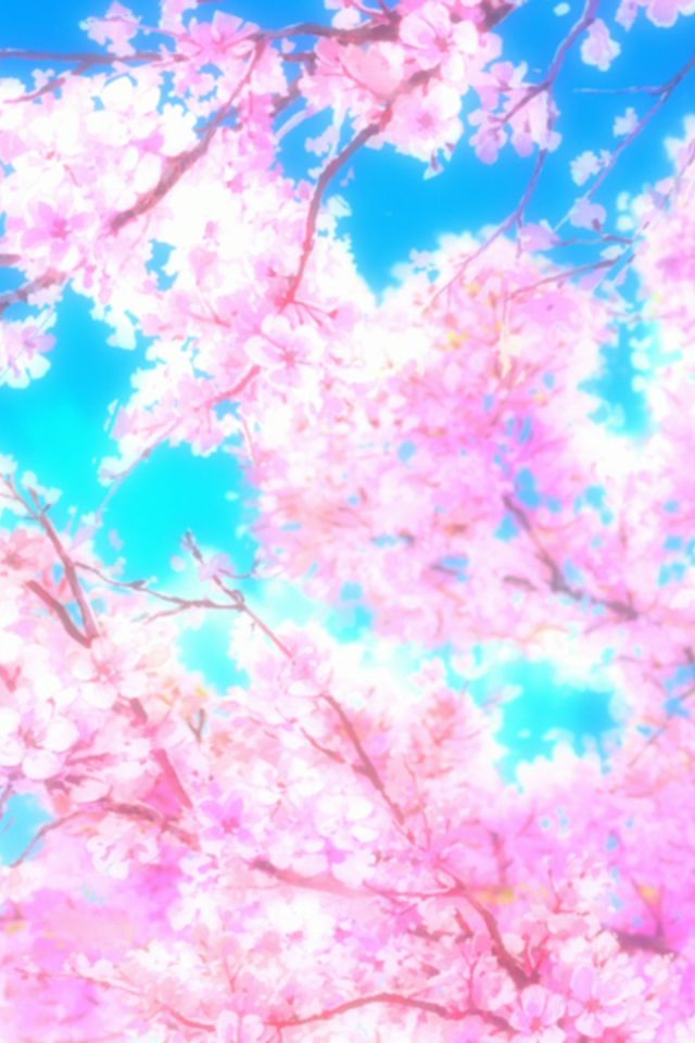 Handy-Wallpaper Sakura, Kirschblüte, Animes, Sakura Blüte, Hyouka kostenlos herunterladen.