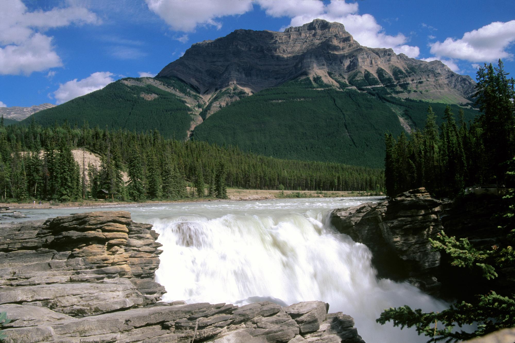 426444 Hintergrundbild herunterladen erde/natur, wasserfall, kanada, wald, jasper nationalpark, gebirge, natur, wasserfälle - Bildschirmschoner und Bilder kostenlos