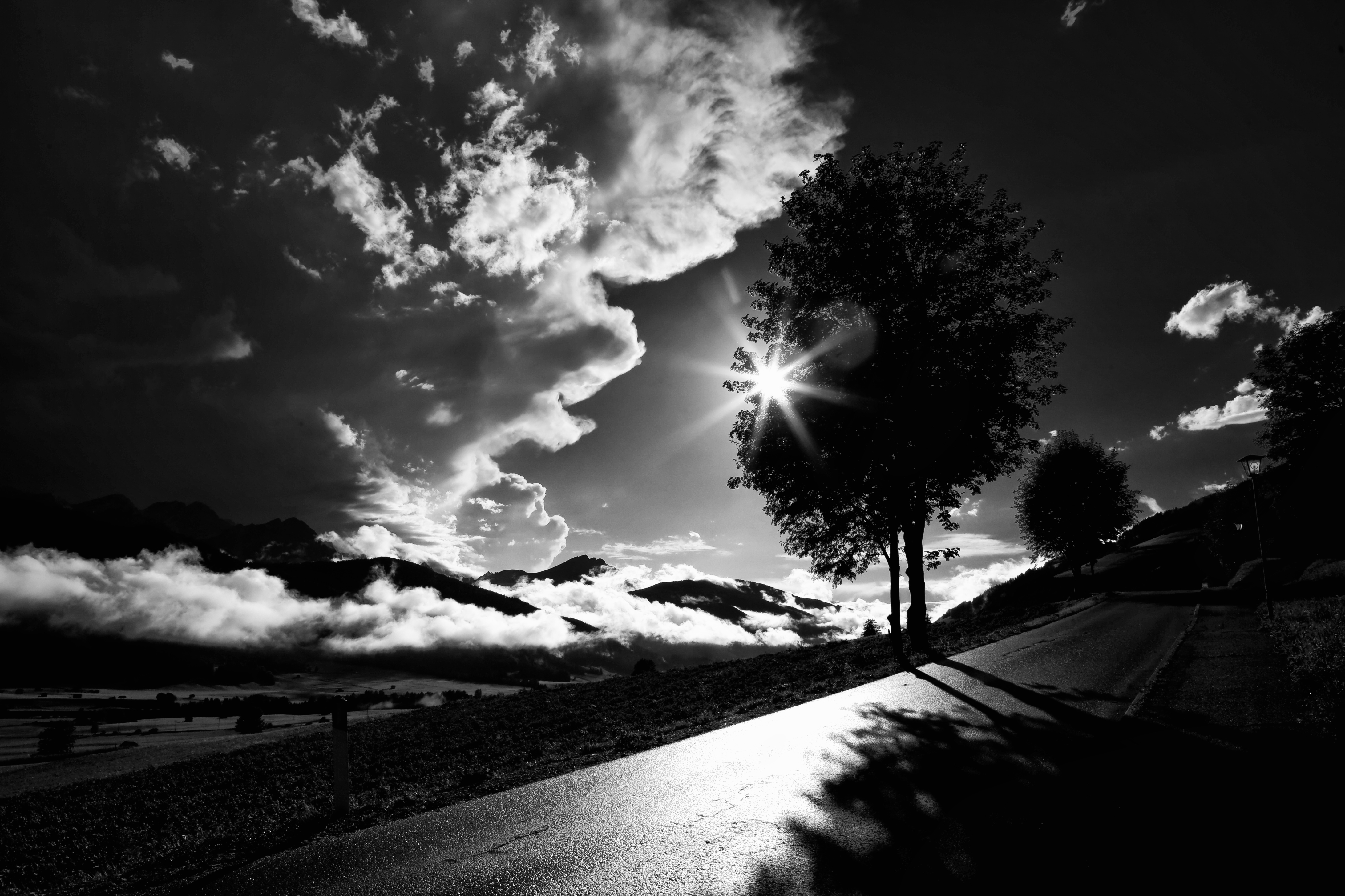 Download mobile wallpaper Wood, Road, Chb, Sunset, Tree, Clouds, Bw, Dark for free.