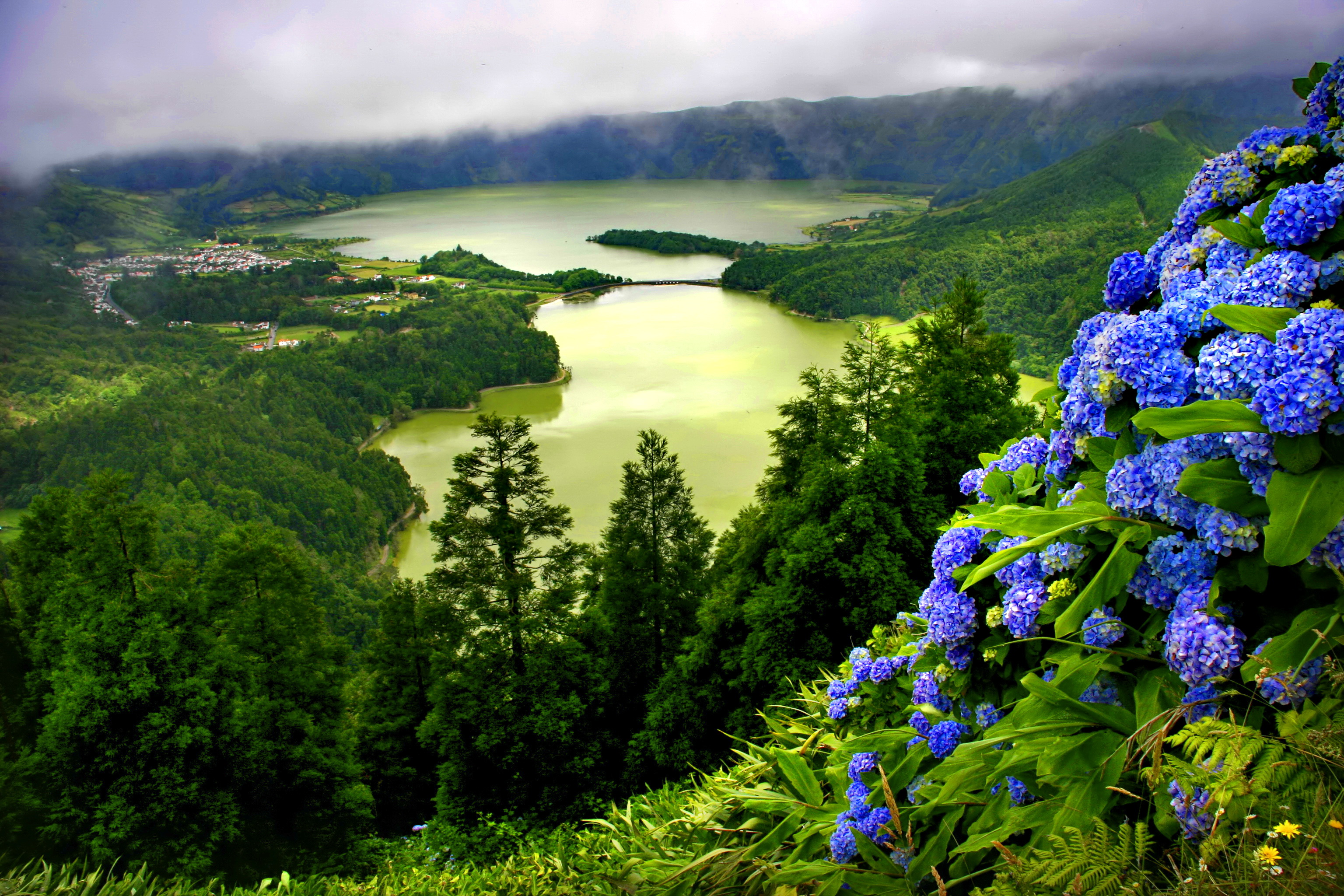 Free download wallpaper Landscape, Mountain, Lake, Flower, Hydrangea, Photography on your PC desktop