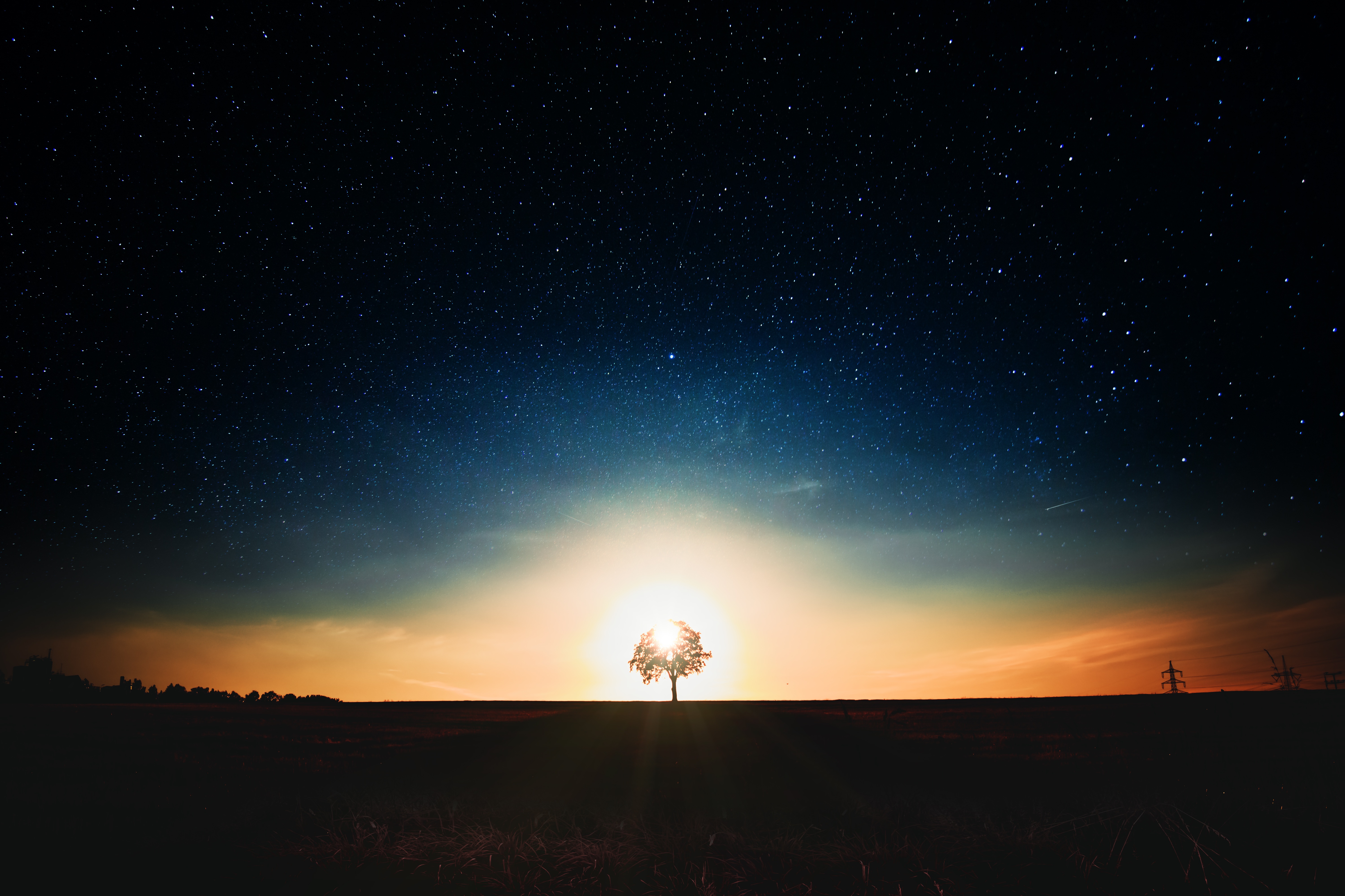 PCデスクトップに木, 日没, 木材, 一人で, 寂しい, 自然, 星空画像を無料でダウンロード
