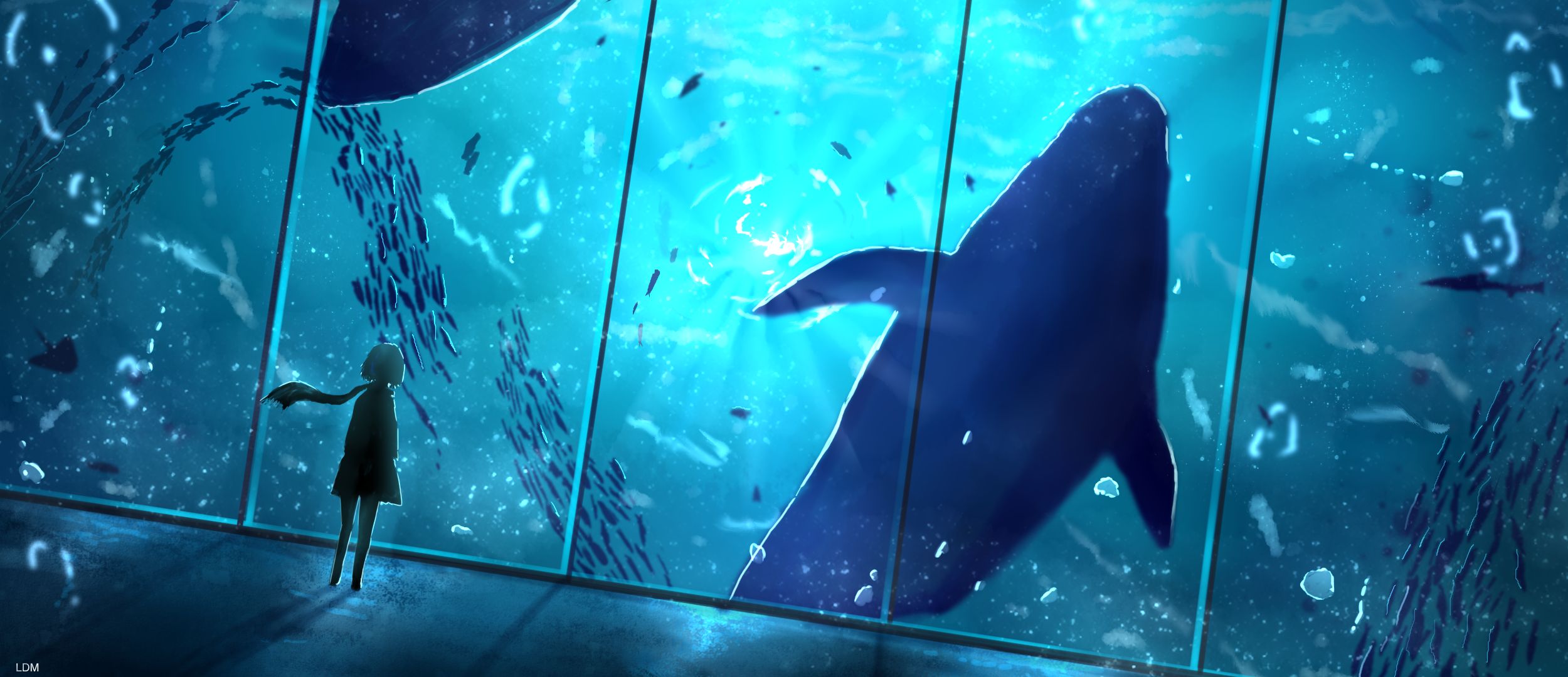 無料モバイル壁紙動物, 鯨, アニメをダウンロードします。