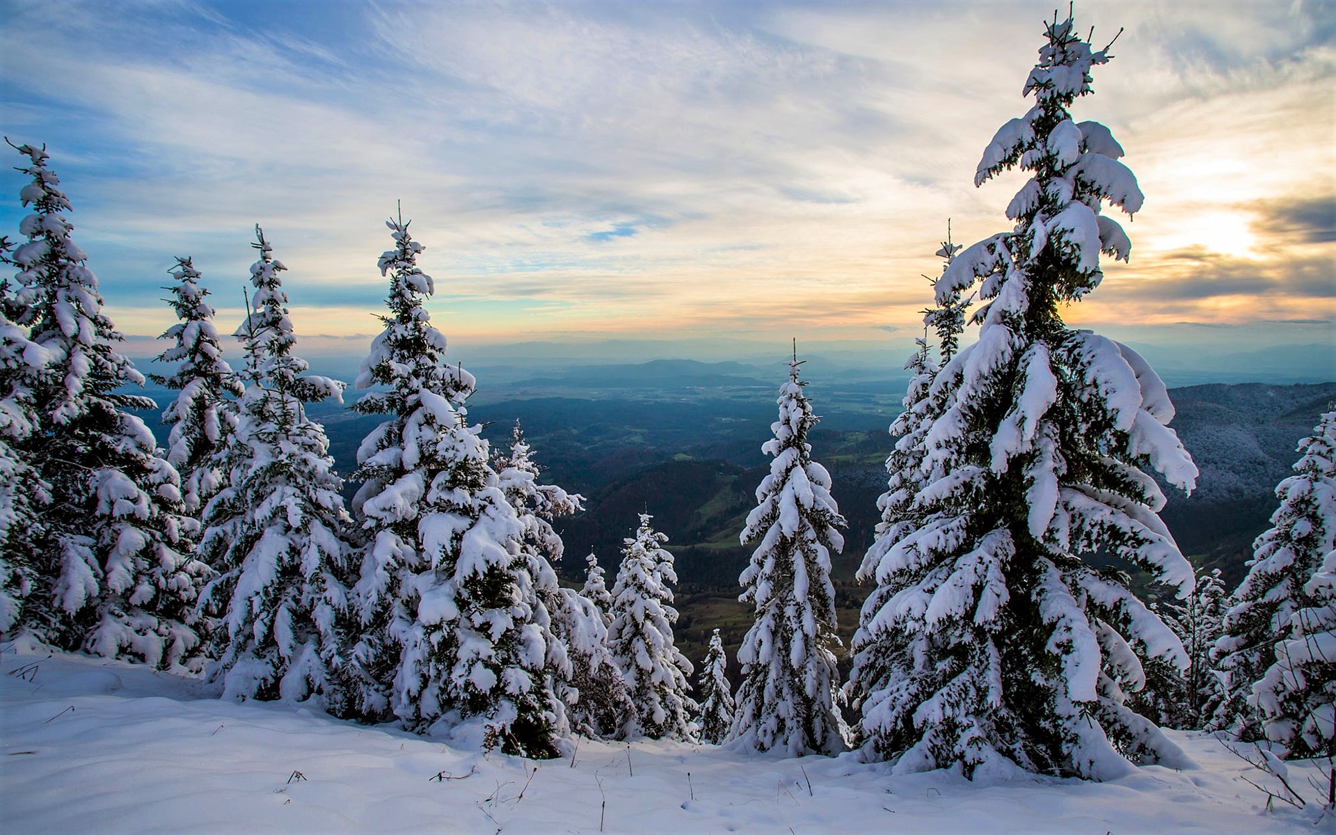 Free download wallpaper Landscape, Winter, Snow, Tree, Earth on your PC desktop