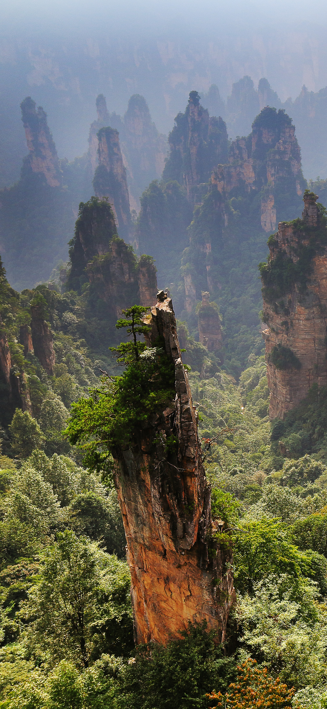 Скачати мобільні шпалери Скеля, Ліс, Земля, Китай, Хунань безкоштовно.