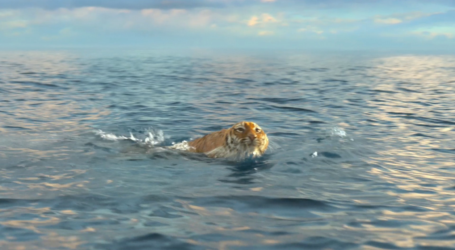 Free download wallpaper Movie, Life Of Pi on your PC desktop