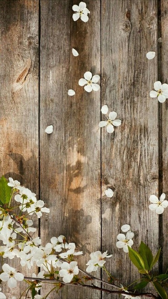 Download mobile wallpaper Flower, Wood, Artistic for free.