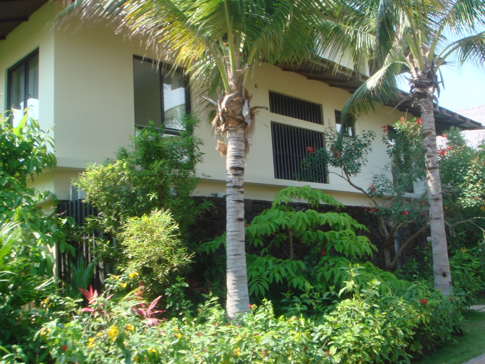 houses, landscape, palms, green HD wallpaper